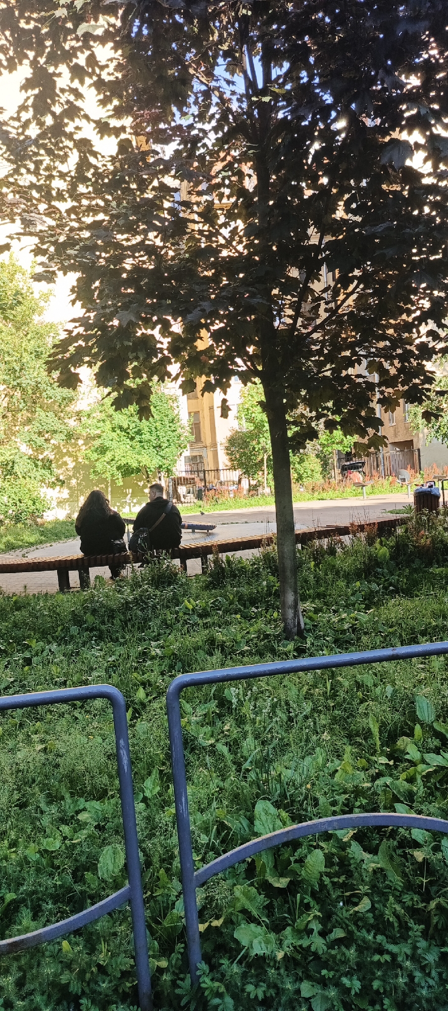 In Saint Petersburg, Russia, two individuals sit side-by-side on a wooden bench, facing away from the camera. They are seated beneath the dappled shade of a leafy tree, which stands in a patch of green grass. Behind them, a fence separates a courtyard area with more trees and buildings from the foreground. The scene is illuminated by natural light, suggesting it is daytime.