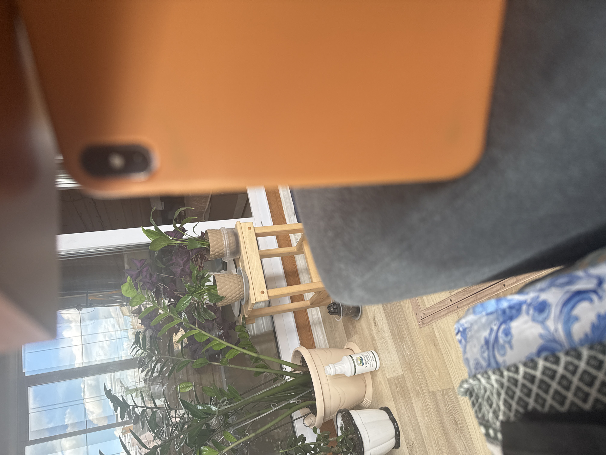 A close-up, partially obscured view of indoor plants. A wooden plant stand holds two small potted plants with green and purple foliage near a window. A larger potted plant sits on the floor, next to a white bottle. A mobile phone is prominently placed in the foreground, obscuring a portion of the scene. The location is Unknown, Unknown.