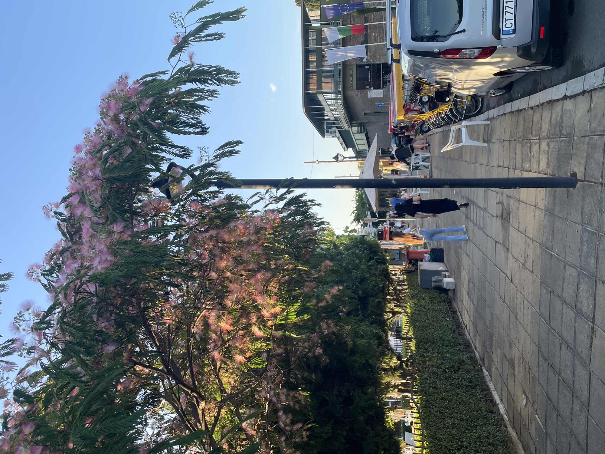 The image captures a sunlit street scene in Nesebar, Bulgaria. A large tree with delicate pink blossoms and green foliage dominates the left side of the frame, its branches extending over a tiled pedestrian walkway. Several people are visible on the walkway, including two individuals walking away from the camera and others seated at outdoor tables in the background. To the right, a light-colored van with the license plate "CT 7711 BG" is parked along the curb. Several multi-person pedal carts are also parked in a row next to the van. Behind the parked vehicles and people, a building with a "RESTAURANT" sign is visible, adorned with flags, one of which appears to be the Bulgarian flag. The environment suggests a pleasant day in a town or city with commercial activity and pedestrian areas.