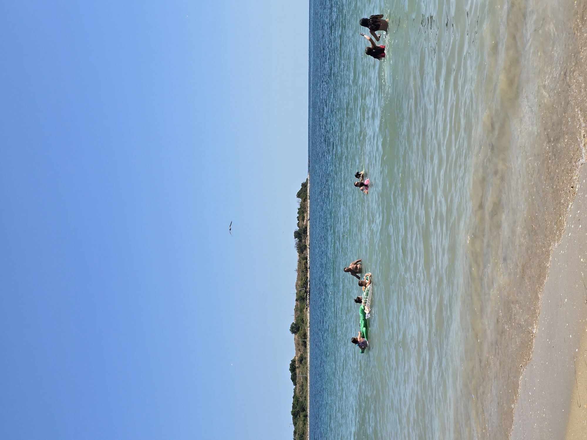 The image depicts a sunny day at a beach in Sozopol, Bulgaria. The clear blue sky is vast above the tranquil, shimmering turquoise sea. In the foreground, a sandy shore meets the gentle waves, with a few scattered shells. The middle ground is populated by several people enjoying the water. On the left, a green inflatable crocodile raft carries two children, with an adult nearby. Further to the right, two children are playing in the water, one with a pink float. On the far right, two girls are wading in the sea. In the background, a lush green coastline stretches across the horizon, dotted with trees and shrubs. The water is calm, with light ripples on its surface. A solitary bird is visible flying high in the sky. The overall scene conveys a relaxed summer atmosphere.