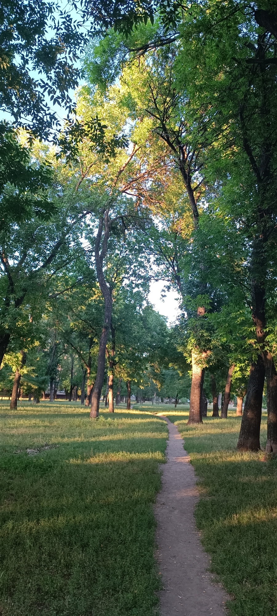 The image depicts a park scene in Zaporizhzhia, Ukraine, during the late afternoon or early evening, as indicated by the long shadows cast across the grassy ground. A dirt path meanders through the park, leading the viewer's eye towards a distant, unlit area. The path is flanked by lush green grass and mature trees with dense foliage that create a dappled lighting effect. Some trees have sunlight filtering through their leaves, illuminating portions of the canopy with a warm, golden glow. The overall mood is serene and tranquil, evoking a sense of peacefulness associated with nature and quiet outdoor spaces. There are no people or specific objects visible in the image, making it a purely scenic representation of a park. The location context of Zaporizhzhia, Ukraine, suggests a potential urban park setting. The weather appears clear and pleasant, suitable for outdoor enjoyment. There is no visible text in the image.