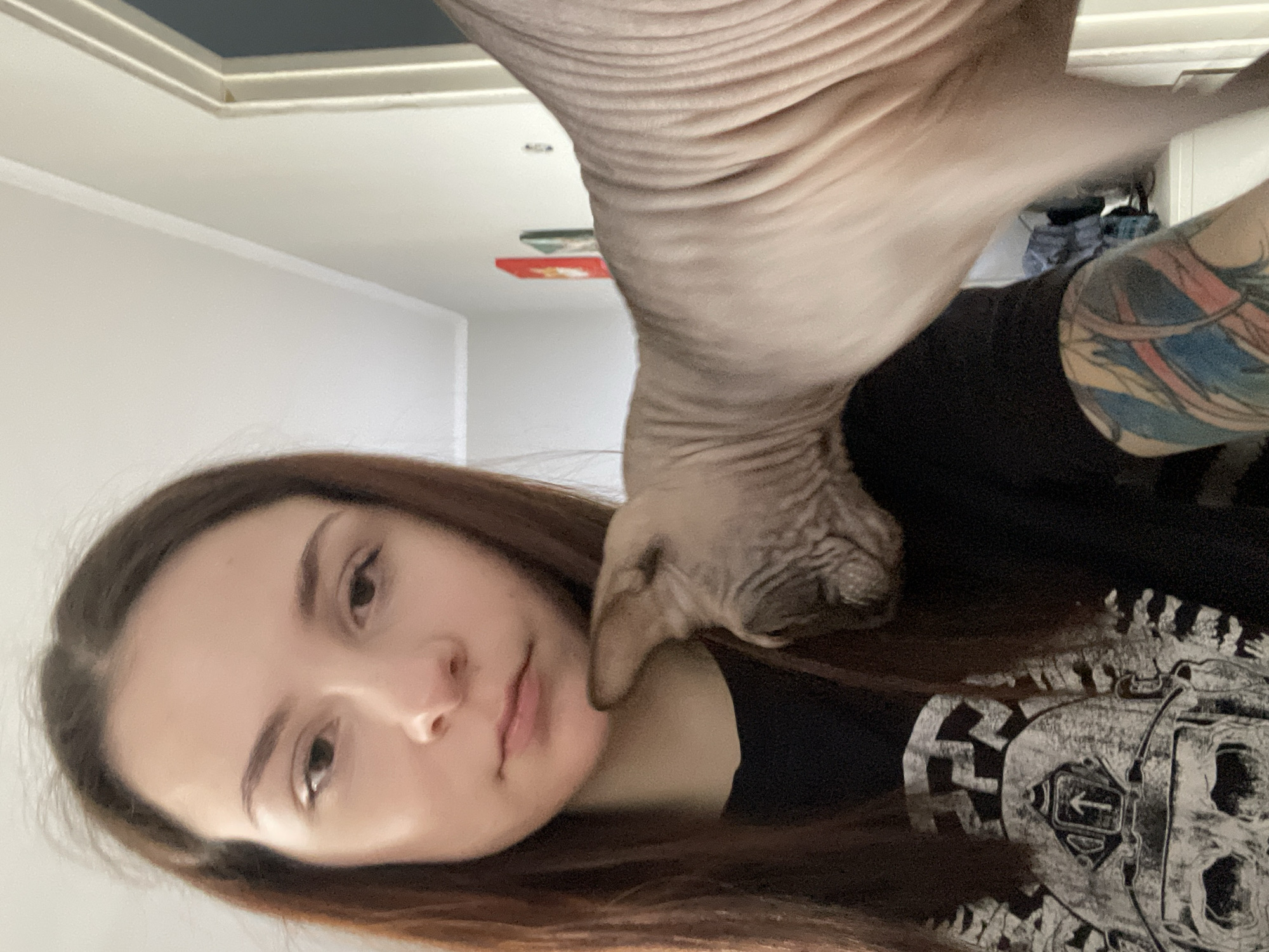 The image, oriented sideways, captures a close-up of a young woman engaging with a hairless cat, likely a Sphynx. The woman has long, straight brown hair and a calm, possibly slightly smiling, expression. She is wearing a dark-colored top, possibly a t-shirt, featuring a light-toned graphic design on the chest. A prominent, colorful tattoo in shades of blue, pink, and yellow is visible on her right upper arm, depicting abstract shapes or possibly stylized waves.
The hairless cat, with its distinctive wrinkled, light gray or tan skin, is positioned above and slightly behind the woman. Its head is nuzzled against the side of her face or neck, suggesting an affectionate interaction.
The background reveals an indoor setting. A white ceiling with decorative molding is visible, along with a section of a dark blue or gray ceiling or wall feature in the upper corner. A plain white wall is also present. Further in the background, behind the cat's body, hints of other objects are visible, including what appears to be a red item on a surface. The lighting is soft and consistent with indoor conditions. On the woman's shirt, the graphic design includes mechanical-like patterns and a clear left-pointing arrow enclosed within a diamond shape, though no legible text is present. The overall scene conveys a warm, intimate moment between the owner and her pet.
