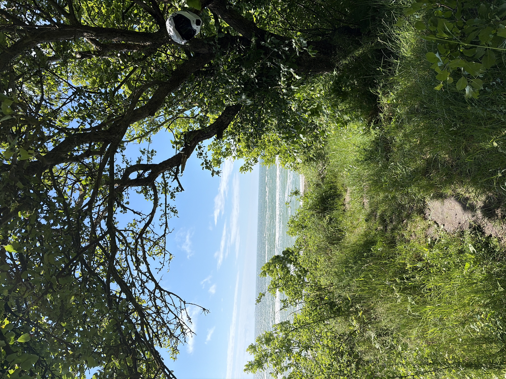The image depicts a serene natural scene with a path leading through lush greenery towards a body of water. A large tree with dense foliage frames the view of the sea under a partly cloudy blue sky. A white motorcycle helmet is visible hanging on a branch of the tree. The path is lined with tall grass and appears to be a natural trail. The sea is a prominent feature, with gentle waves rolling towards the shore. The overall impression is one of a peaceful outdoor setting. The location is identified as Povarovka, Russia, suggesting a coastal area within this region.