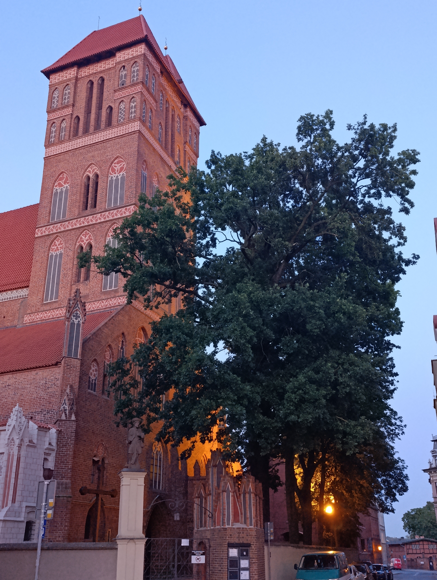 This is a medium shot, outdoor photograph taken during twilight of a large brick church with a tall tower and a prominent tree in the foreground. The church has a red tiled roof and a red brick exterior. The tower is octagonal at the top and features arched windows with decorative stonework. The large tree has dense green foliage and is positioned to the right of the church, partially obscuring the view of the building. The sky is a clear, pale blue, typical of early evening. The church is lit from within, casting a warm orange glow through its windows. In the lower part of the image, a street is visible with parked cars and a street lamp. The church is identified as the St. John's Cathedral in Toruń, Poland. The overall scene is serene and captures a sense of historical architecture against a natural element.