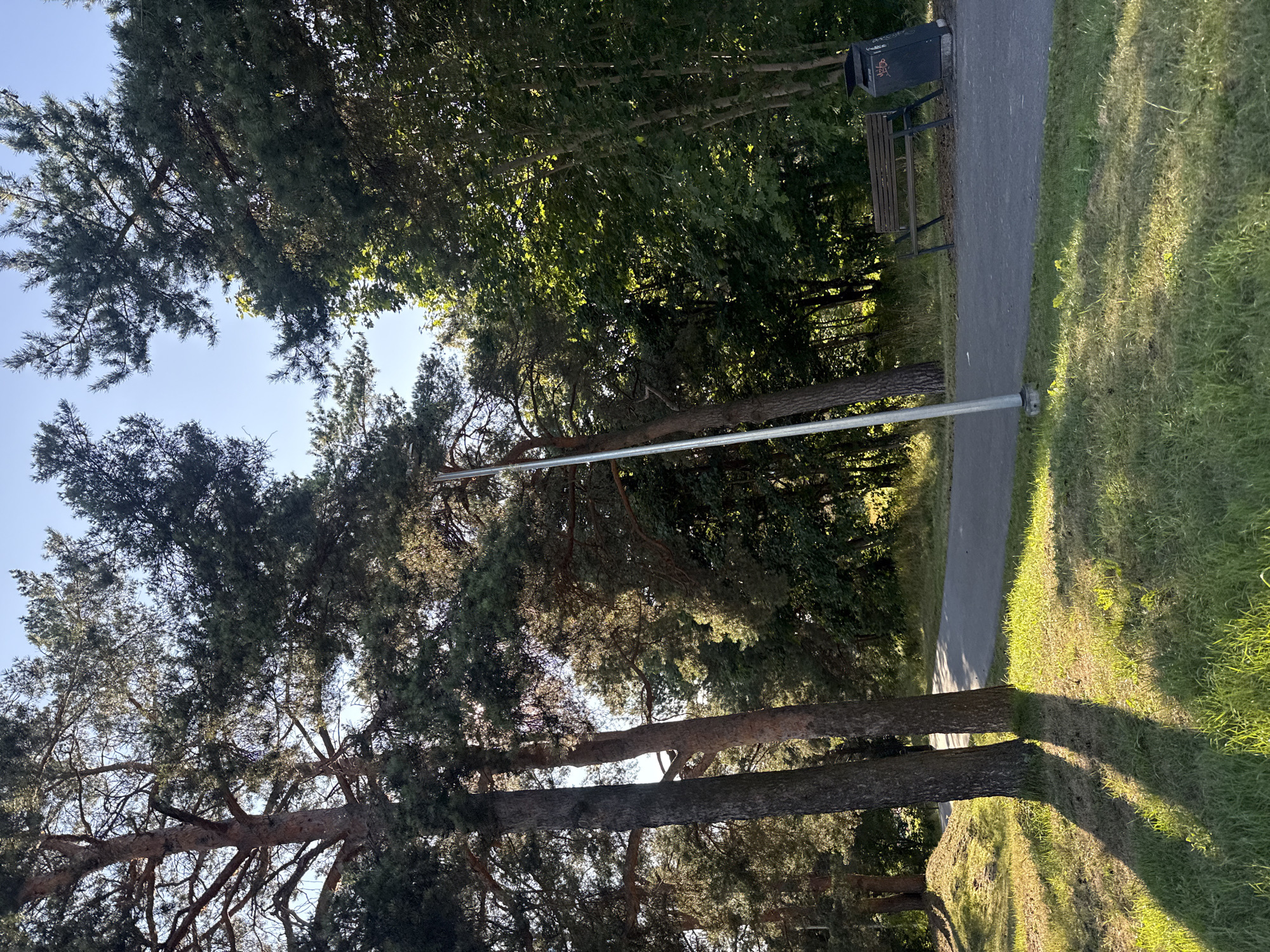 The image shows a paved path winding through a park with mature pine trees on the left and deciduous trees on the right. A wooden bench and a trash bin are situated beside the path. Sunlight casts long shadows across the grass and the path, indicating it is late afternoon or early morning. The sky is clear and blue. The scene suggests a public park area, possibly in a suburban or recreational zone of Tallinn, Estonia, given the type of trees and park amenities. There are no people visible in the image. The overall impression is one of a tranquil, natural setting within a city.