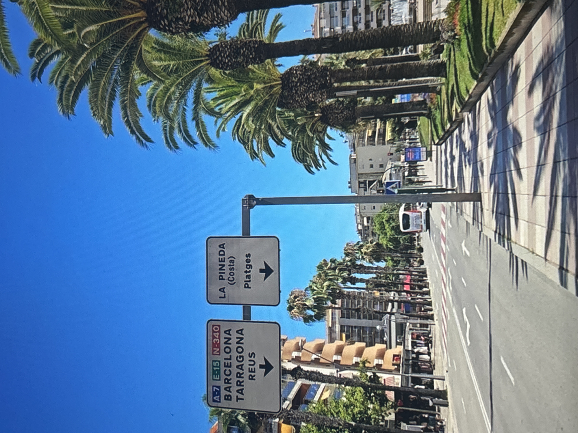 The image displays a sunlit urban street scene, likely in a coastal town, characterized by a clear blue sky and abundant palm trees. Numerous tall palm trees with visible dark, textured trunks and green fronds line the road, casting long, distinct shadows across the pavement on the right side of the frame.
The street features a multi-lane road with clear white arrow markings on the asphalt, indicating traffic direction, and solid white lines for lane separation. Red and white striped markings are also visible along the roadside. In the background, typical multi-story urban buildings can be seen, and a white van or bus is present on the road in the distance, suggesting everyday urban activity.
Prominently featured on the left are two white rectangular street signs mounted on a dark pole. The upper sign directs to "LA PINEDA (Costa) Platges" with a right-pointing arrow, indicating a coastal destination and beaches. The lower sign provides directions for major routes and cities: "A-7 E-15 N-340 BARCELONA TARRAGONA REUS," also with a right-pointing arrow.
The bright sunlight and strong shadows suggest the time of day is likely midday or early afternoon. The presence of palm trees, coastal references, and Spanish city names (Barcelona, Tarragona, Reus, La Pineda) firmly place the location in Catalonia, Spain. The scene conveys a calm and sunny atmosphere.