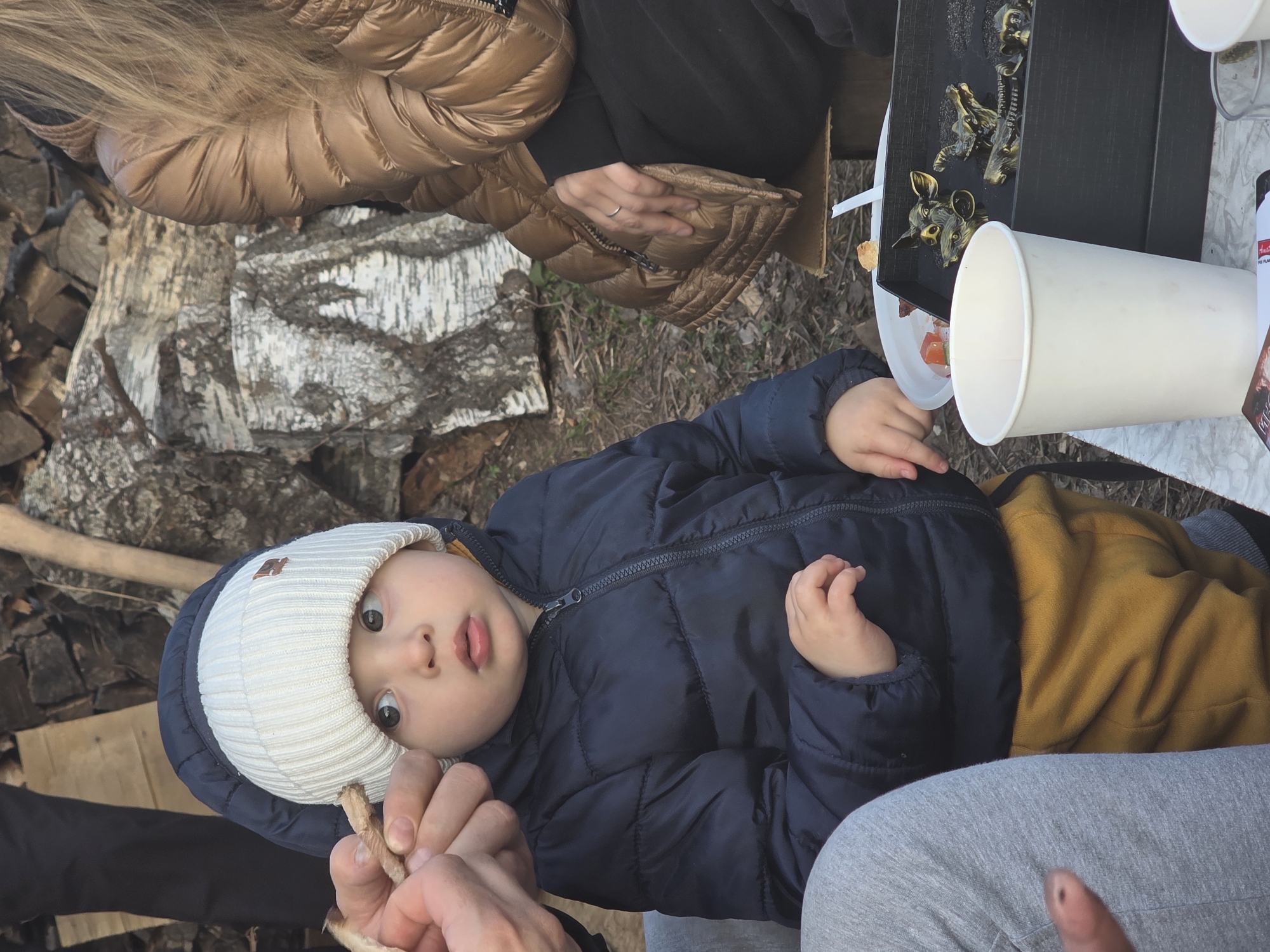 This image captures a casual outdoor gathering, likely in Шолья, Russia. The central focus is a young child, possibly a toddler, wearing a white knit beanie with a small dark logo (possibly an 'N'), a dark blue puffer jacket, and mustard yellow pants. The child looks directly at the camera with wide, curious eyes and a slightly open mouth, held or sitting on an adult's lap.
Partial views of several adults are visible. To the upper left, a person with long blonde hair wears a bronze-colored puffer jacket. Another adult's hands, also wearing a black long-sleeved top and a similar bronze jacket, are seen resting on a dark portable table. In the foreground, an adult's hands hold a piece of wood or bark, seemingly engaging with the child. At the bottom right, legs clad in grey sweatpants are visible, with a finger in the very foreground.
The setting is outdoors, with stacked logs, some featuring white birch bark, forming a natural backdrop. The ground appears to be dirt or sparse grass. On the dark portable table are several items: white disposable cups, a black tray holding decorative metallic animal figures (resembling deer), and a small white container with food scraps, including a piece of tomato. A can or bottle with a red and black label is also present, with the word "AUSTRIA" partially visible.
The scene suggests a relaxed daytime gathering, possibly in cool weather given the puffer jackets worn by the individuals. The child's expression conveys curiosity or slight surprise amidst the familial interaction.