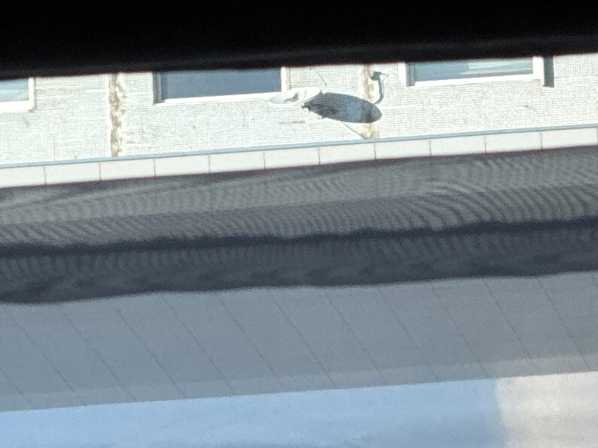 The image is an exterior view of a building with a satellite dish mounted on its facade, as seen through a window with curtains. The building's exterior features a light-colored, textured surface and several windows. A dark-colored satellite dish is prominently visible, attached to the wall. The scene appears to be in Podolsk, Russia, but this cannot be confirmed from the image itself. The overall lighting suggests it is daytime.