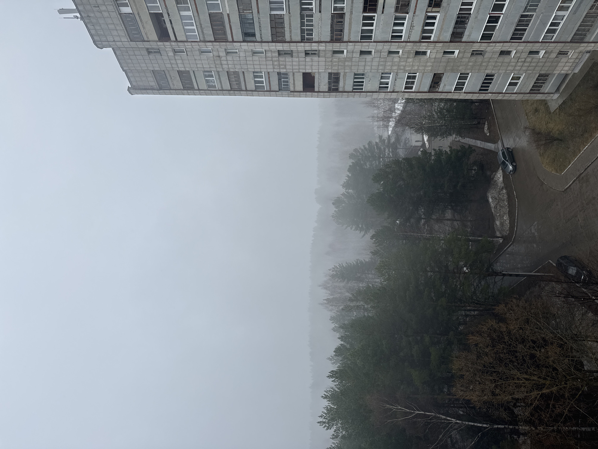 A high-angle view in Chaikovsky, Russia shows a gray, overcast day. The top of a Soviet-era concrete apartment building with multiple rows of windows is visible in the upper portion of the frame. Below the building, a dense line of trees stretches across the middle of the frame, shrouded in fog or mist. A narrow paved road winds through the trees, and a dark-colored car is parked on the pavement. Bare branches of trees are visible near the bottom of the image. The overall scene is bleak and muted in color due to the weather conditions.
