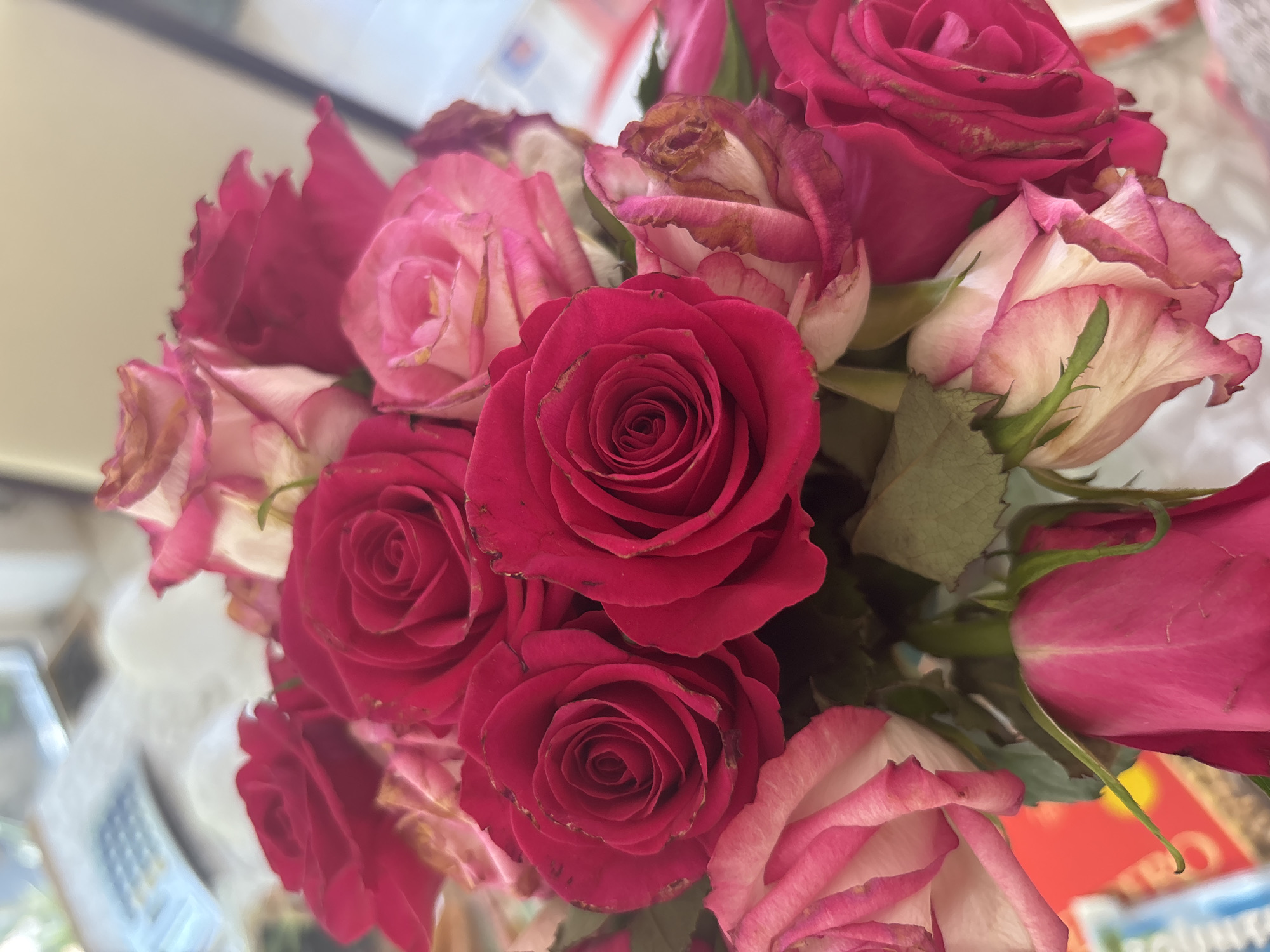 The image shows a close-up, overhead view of a bouquet of red and pink roses. Some of the roses appear to be wilting. The background is out of focus but suggests an indoor setting with a calculator on a surface and a hint of a window or light source. There are no people or identifiable landmarks of Merendree, Belgium.