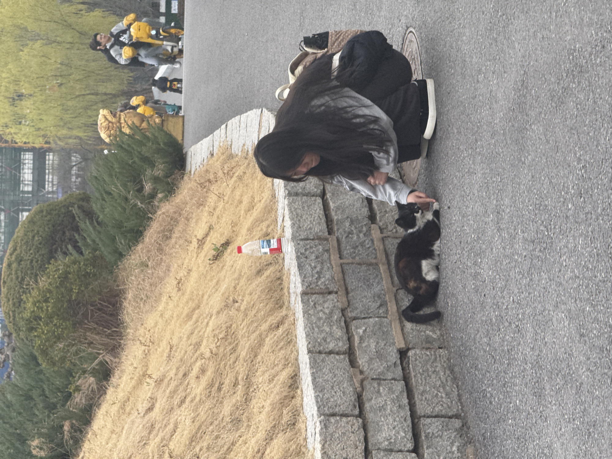 A young woman with long black hair kneels on a paved surface, extending her right hand toward a black and white cat. The cat is standing on the same paved surface. Behind the woman is a manhole cover and a backpack. To the left of the woman and cat, a retaining wall separates the paved surface from a grassy slope. A discarded plastic water bottle lies on the slope. In the background, other people, some on scooters, are visible on the paved path. A building is also visible in the far background. The location is believed to be Zhongtun, China.