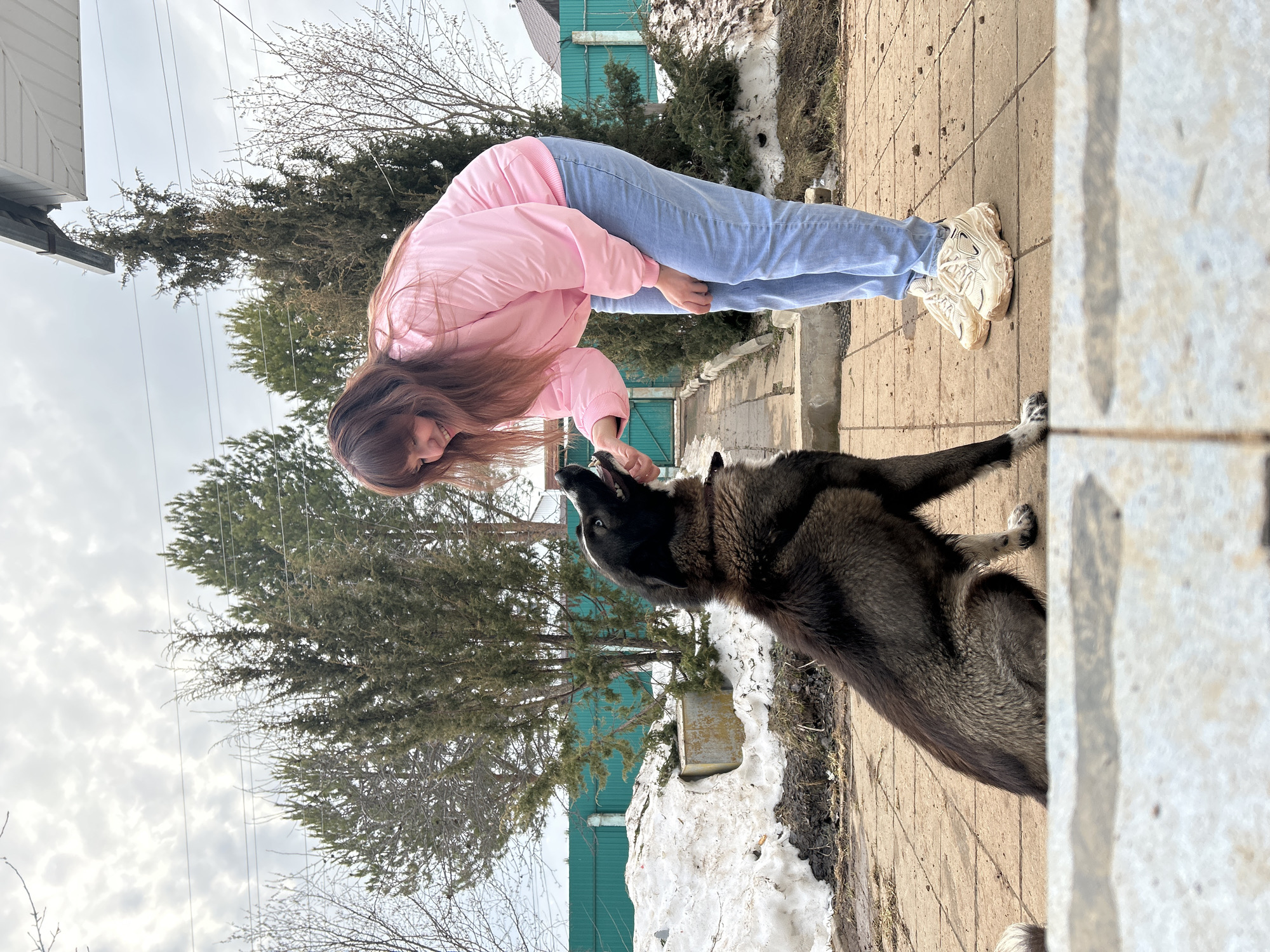 This image, taken in the city of Фоки, Russia, depicts an outdoor scene featuring one female and one dog on a paved area under an overcast sky. A woman, with long brown hair, is positioned in the center-right, bending forward and extending her right hand towards the dog. She is wearing a pink bomber jacket, light blue jeans, and cream-colored athletic shoes with thick soles. The dog, a medium-to-large breed with dark brown and black fur, is seated on the left, looking upwards at the woman's extended hand with its mouth slightly open. It wears a dark collar. The ground consists of light brown square paving stones. To the left, a large pile of melting snow and dark soil is visible, adjacent to a light-colored concrete block. A teal-colored corrugated metal fence runs horizontally across the mid-ground. Behind the fence, several evergreen trees and bare deciduous trees are present, with power lines visible against the light grey, cloudy sky. A dark-roofed building is partially visible on the far right.