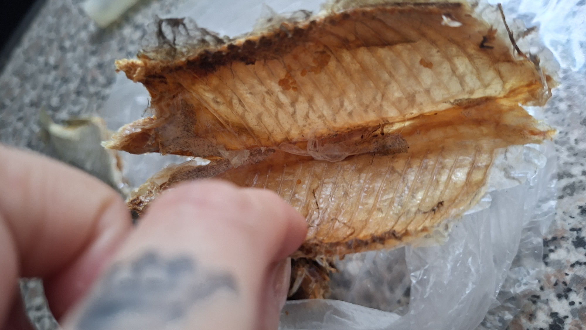 A close-up, high-angle shot shows a person's hand holding a dried fish carcass. The fish is hollowed out, with a ribbed interior and visible scales on the exterior. The hand is partially blurred, but a tattoo is visible on the left side of the forearm. The fish lies on a crumpled plastic bag, which is placed on a speckled countertop. The scene is indoors, with no specific location within Myadzyel, Belarus, identifiable.