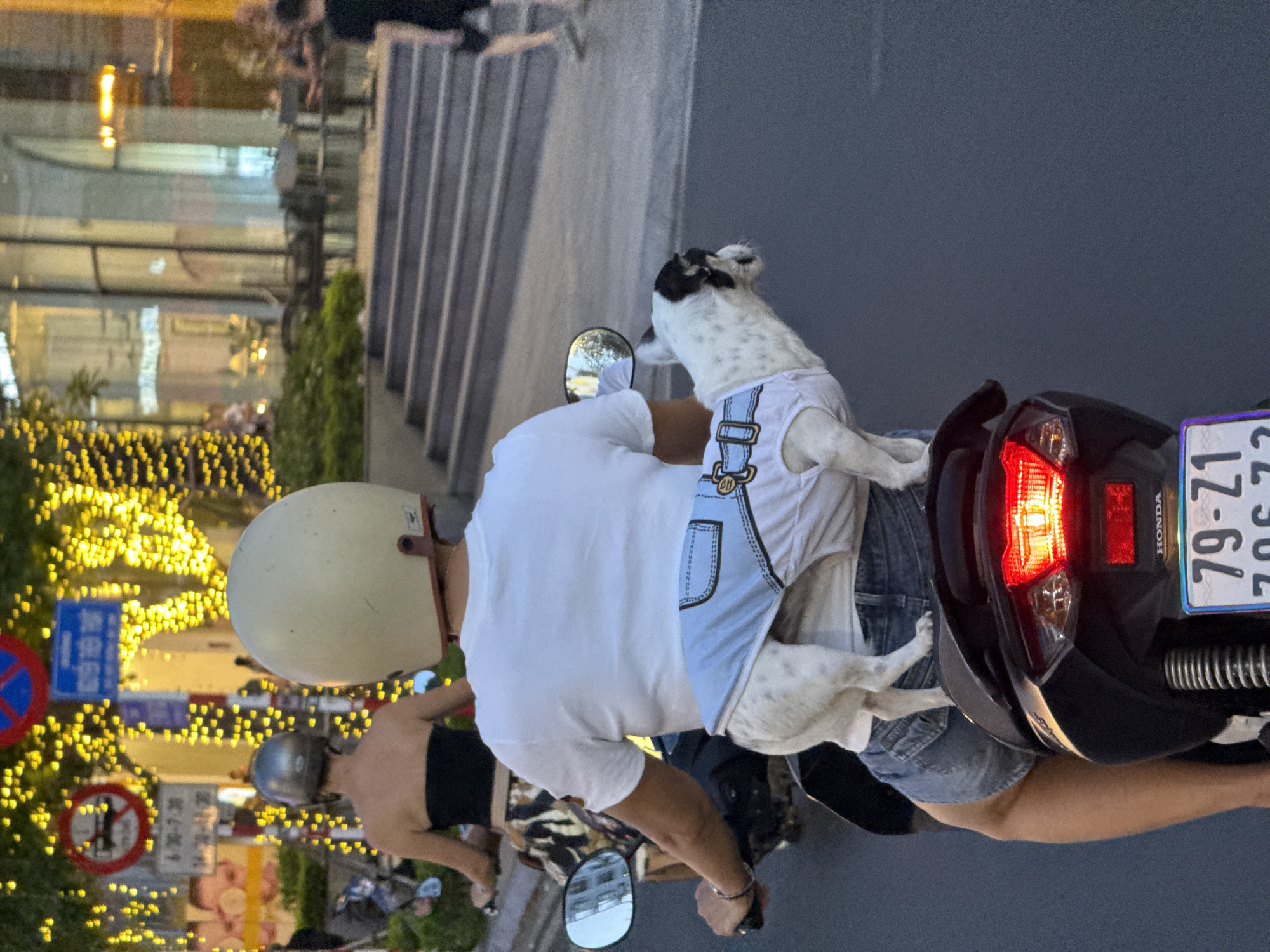 A person wearing a white T-shirt and denim shorts is riding a motorcycle in Nha Trang Ward, Vietnam. A white dog with black markings is sitting behind the person, wearing a light blue harness or clothing. The motorcycle has a license plate with the number 79-Z1 706.72. The rider is wearing a beige helmet. Another motorcycle with a rider wearing a silver helmet and black top is nearby. The background shows a street scene with trees decorated with yellow lights, traffic signs, and buildings.