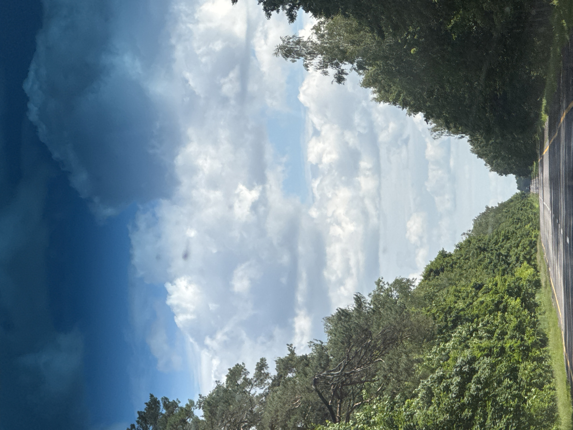 The image depicts a road bordered by lush green trees on both sides, creating a tunnel-like effect. The road itself appears wet, with a yellow line marking its edge, suggesting recent rain or a damp environment. Above the trees, the sky is a dramatic mix of dark, stormy clouds on the left and brighter, partly cloudy skies on the right, hinting at an approaching or departing storm. The contrast between the dark and light clouds creates a dynamic visual. The scene evokes a sense of a journey through a natural landscape, possibly on a slightly overcast or post-rain day. The dense foliage suggests a rural or semi-rural setting, consistent with the provided location context of Роўкавіцкі сельскі Савет, Belarus. There are no people or visible text in the image.