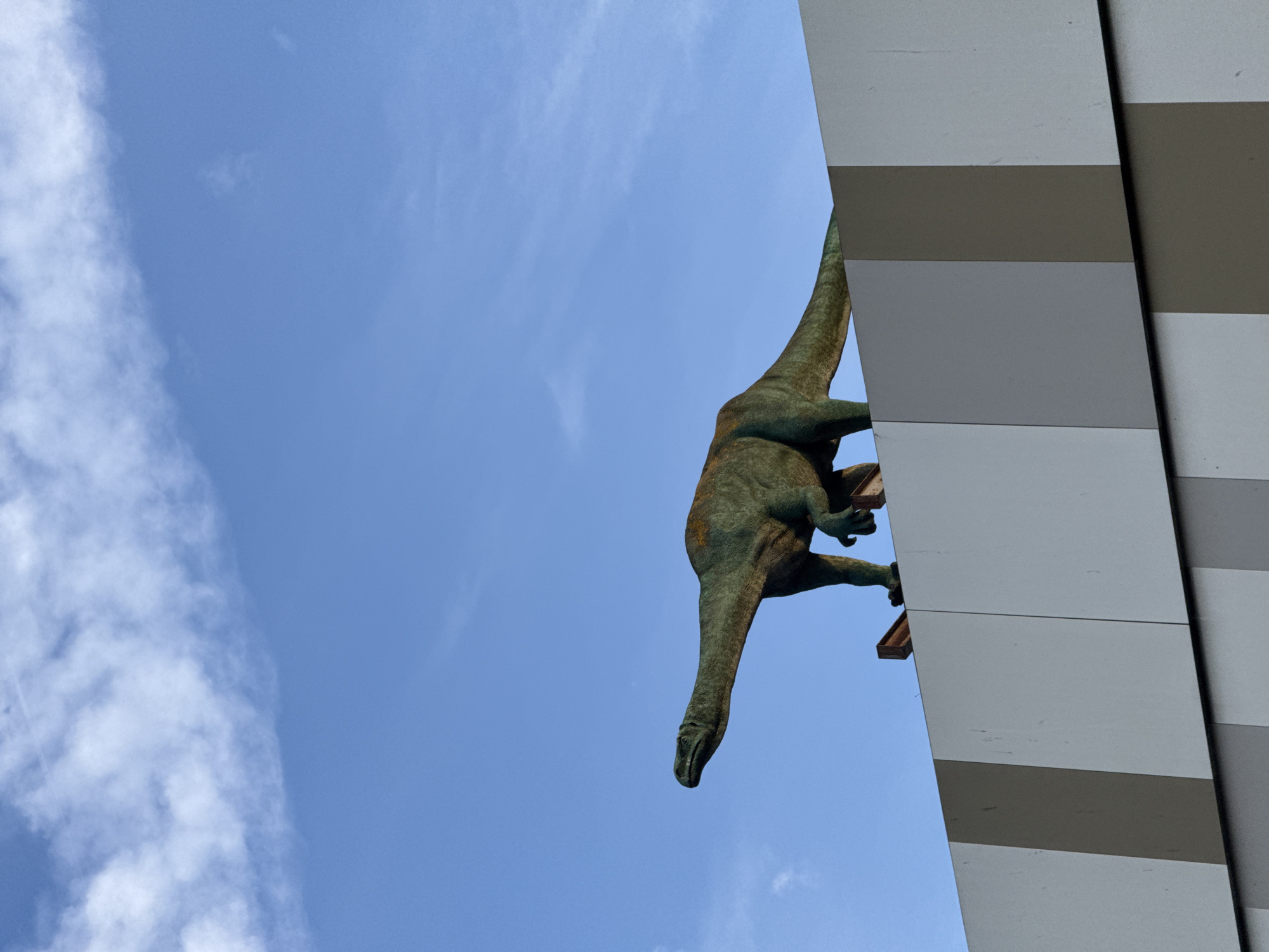 A bronze-colored dinosaur statue is depicted vertically on the right side of the frame, clinging to the modern facade of a building. The statue, resembling a sauropod with a long neck and tail, extends from the upper right towards the bottom-left of the image, with its head pointing downwards. Its limbs appear splayed, gripping the horizontal panels of the building, which are alternately light grey and a darker grey/brown. The building occupies the far right edge of the image, presenting a sleek, striped design. The vast majority of the background is a clear, bright blue sky, with a few wispy white clouds scattered on the left side. The scene is well-lit, indicating it is daytime. No people or visible text are present. The composition highlights the unusual integration of the prehistoric creature with contemporary architecture.