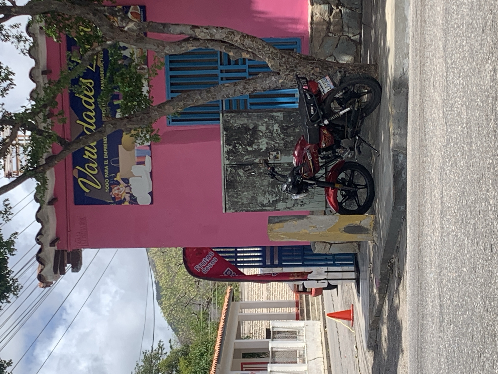 The image shows a street scene in Santa Ana, Venezuela, featuring a vibrant pink building with a blue awning displaying the text "Variedades Luna" and advertisements for "Todo para el Emprendedor, Panaderia, Fiestas." A red motorcycle is parked on the sidewalk in front of the building, leaning on its kickstand. To the left of the building, a red and white structure with a white fence is visible, and a red traffic cone is placed on the street. The background includes a tree, power lines, and a hillside with green foliage, suggesting a tropical or subtropical environment. The building's facade is adorned with decorative tiles and a blue-barred window. A red banner advertising "Frutos Secos" (dried fruits) is partially visible behind a blue gate. The overall scene depicts a commercial area on a sunny day.