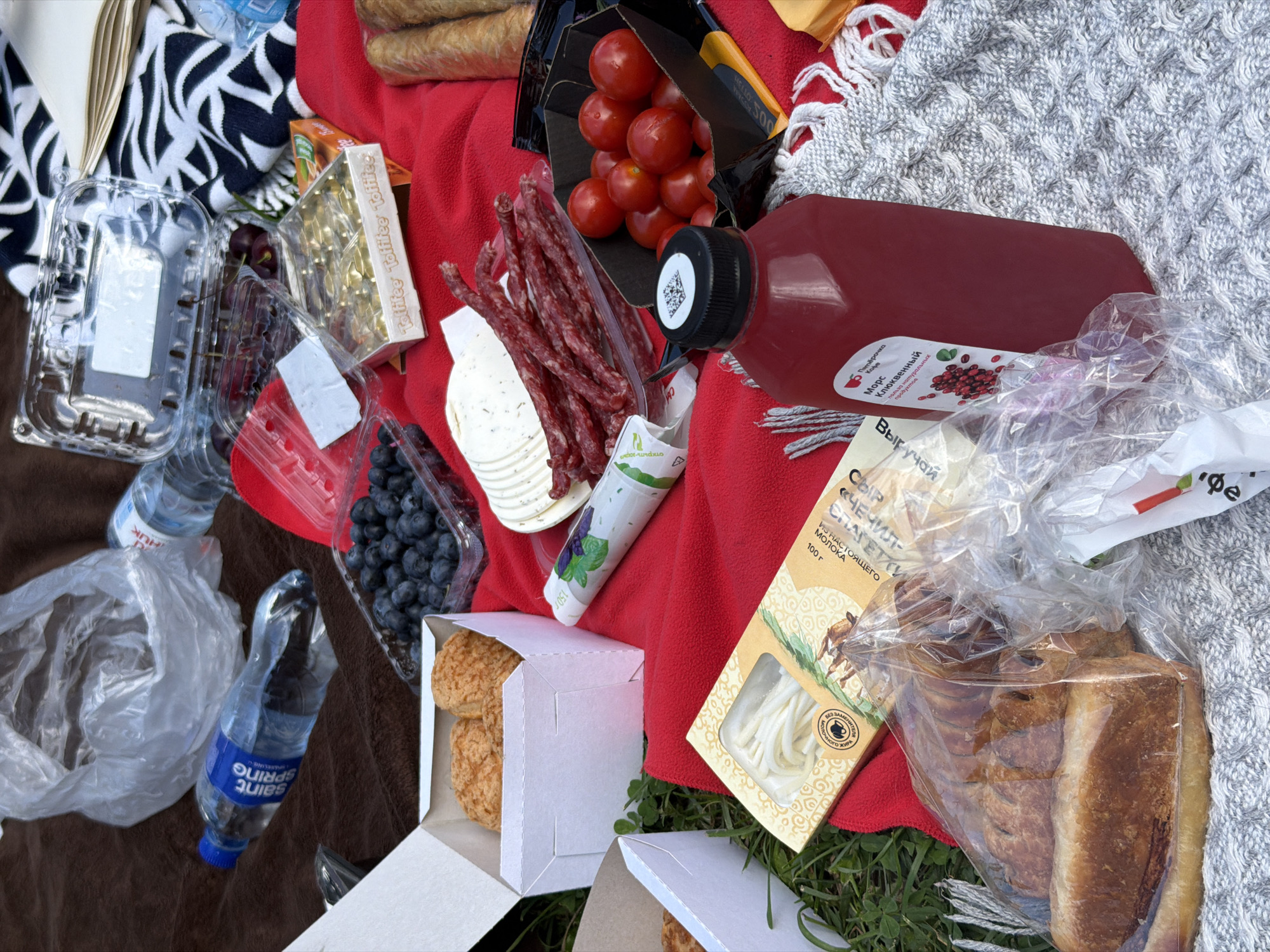 The image depicts a picnic spread on a red blanket, with some parts of the scene extending onto grass and a brown blanket. The picnic includes various food items such as blueberries, sliced cheese, dried sausages, cherry tomatoes, pastries, and a bottle of juice. Several clear plastic containers and bags are present, holding the food items. A plastic bottle of sparkling water is also visible. A black and white patterned blanket is partially visible in the background. The overall scene suggests a casual outdoor gathering. There is no identifiable information about the specific location within Saint Petersburg.