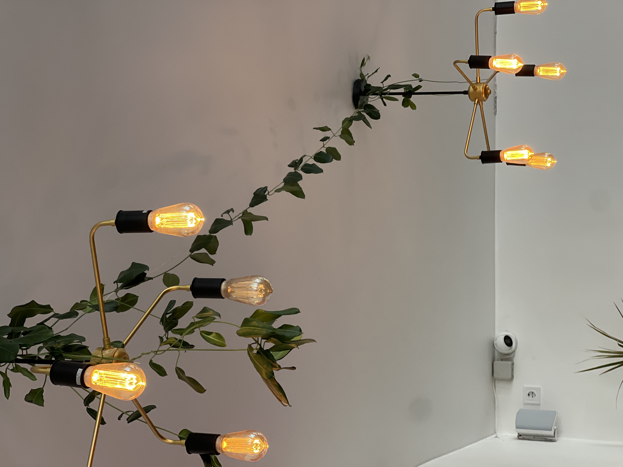 This is a ceiling view of a room, likely a cafe or restaurant, in Odesa, Ukraine. Two modern chandeliers are visible, both featuring multiple Edison-style bulbs with warm, orange light. The chandeliers are also adorned with trailing green plants, adding a natural element to the decor. In the lower left corner of the image, a white wall is visible with a security camera, an electrical outlet, and a light-colored speaker or light fixture mounted on the wall. The ceiling is white and appears to be smooth.