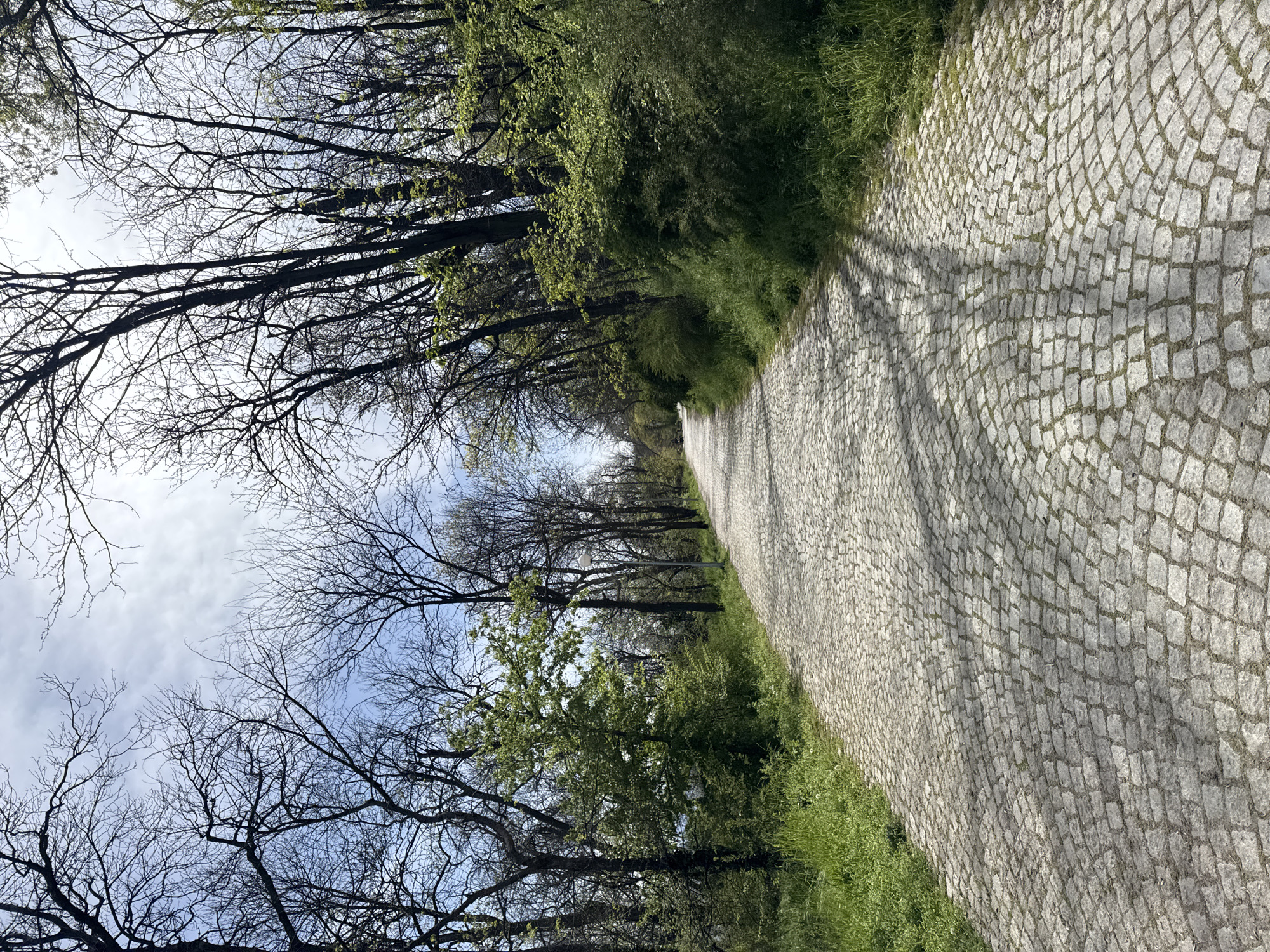 The image captures a serene outdoor scene featuring a cobblestone path flanked by trees and grass, extending into the distance under a bright sky. The path is paved with numerous small, grey, irregularly shaped stones, with sparse green growth peeking through the gaps.
On both sides of the path, there are lines of trees. Many of the trees, particularly on the left, are still in an early spring state, with intricate networks of bare, dark branches visible against the sky. However, pockets of vibrant new green leaves are evident, especially on trees closer to the foreground and forming a dense green wall of foliage on the right side of the path. Lush green grass borders the path on both sides.
The scene is well-lit by daylight, indicated by clear shadows of tree branches cast across the cobblestone path, suggesting a morning or afternoon setting. The sky, visible through the tree canopy, is bright, featuring light blue patches and scattered white clouds. There are no people or specific activities depicted, lending a sense of calm and natural beauty to the scene. The setting is in Plovdiv, Bulgaria. No text is visible in the image.