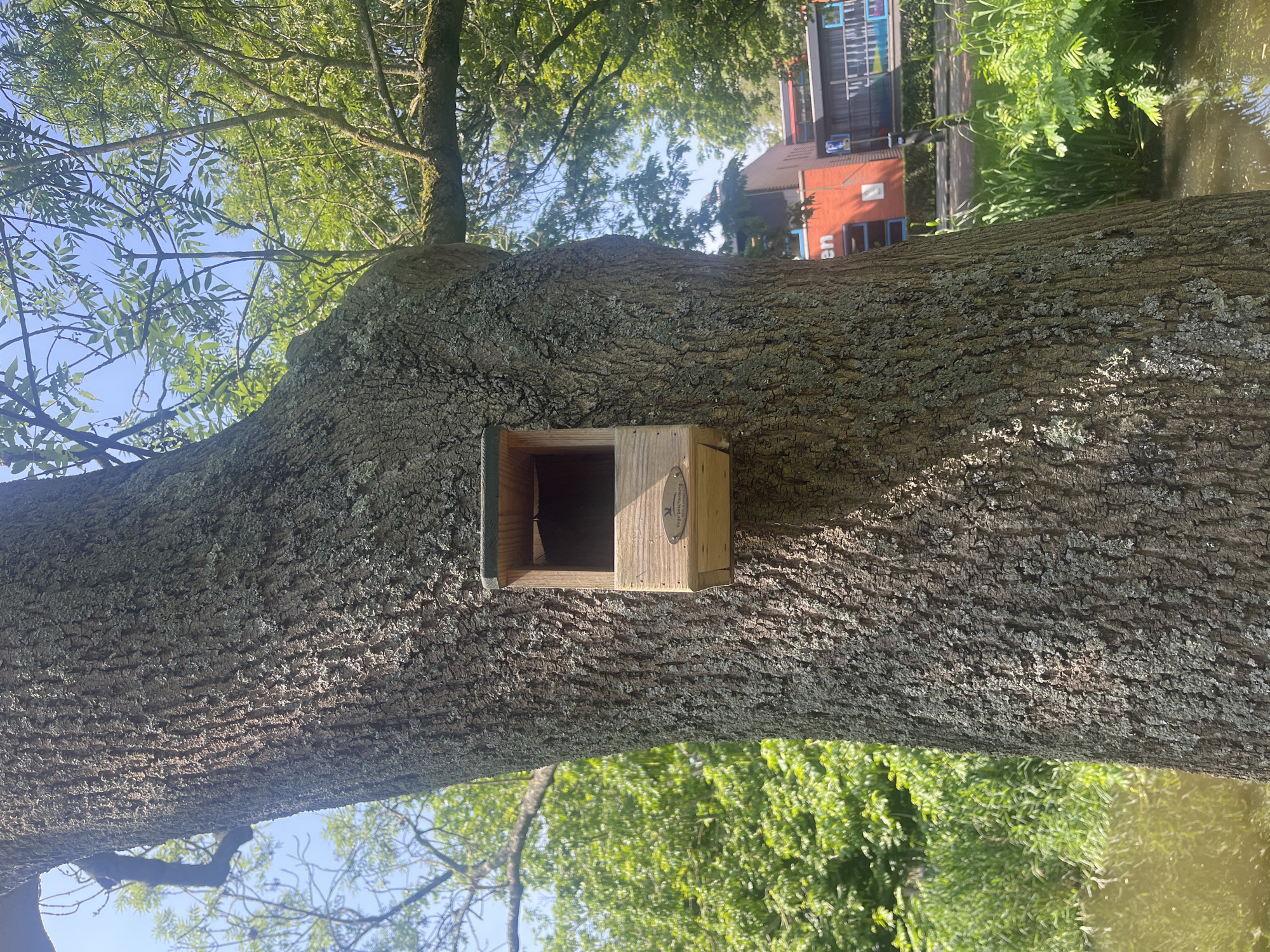 A close-up, vertical shot shows a wooden birdhouse mounted on the rough bark of a tree trunk. The birdhouse is small and rectangular with an opening. A small metallic emblem with a bird silhouette and text is affixed to the front of the birdhouse. The tree trunk occupies the majority of the foreground. In the background, dappled green foliage from other trees and a clear blue sky are visible. To the right and further in the distance, a modern building with an orange facade and windows can be seen, along with some greenery and water. The setting appears to be an outdoor environment, possibly a park or near a body of water.
