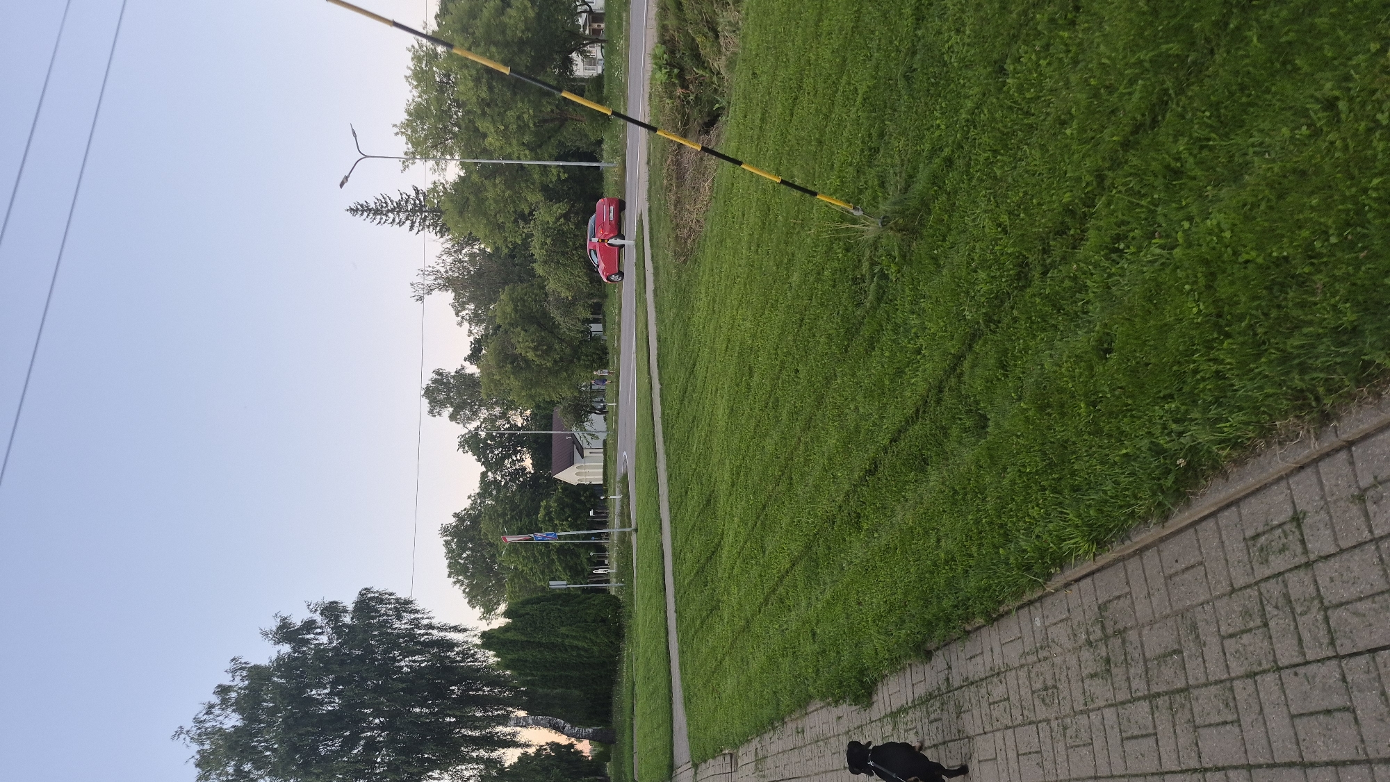 In Krauja, Latvia, a black dog on a leash walks along a brick sidewalk. To the right of the sidewalk is a neatly mown, vibrant green lawn. In the background, a paved road curves around a grassy area. A red car is driving on the road. Beyond the road, a cluster of trees forms a backdrop, with a small, light-colored building visible among them. The sky above is a clear, pale blue. A yellow and black striped pole stands near the edge of the road.
