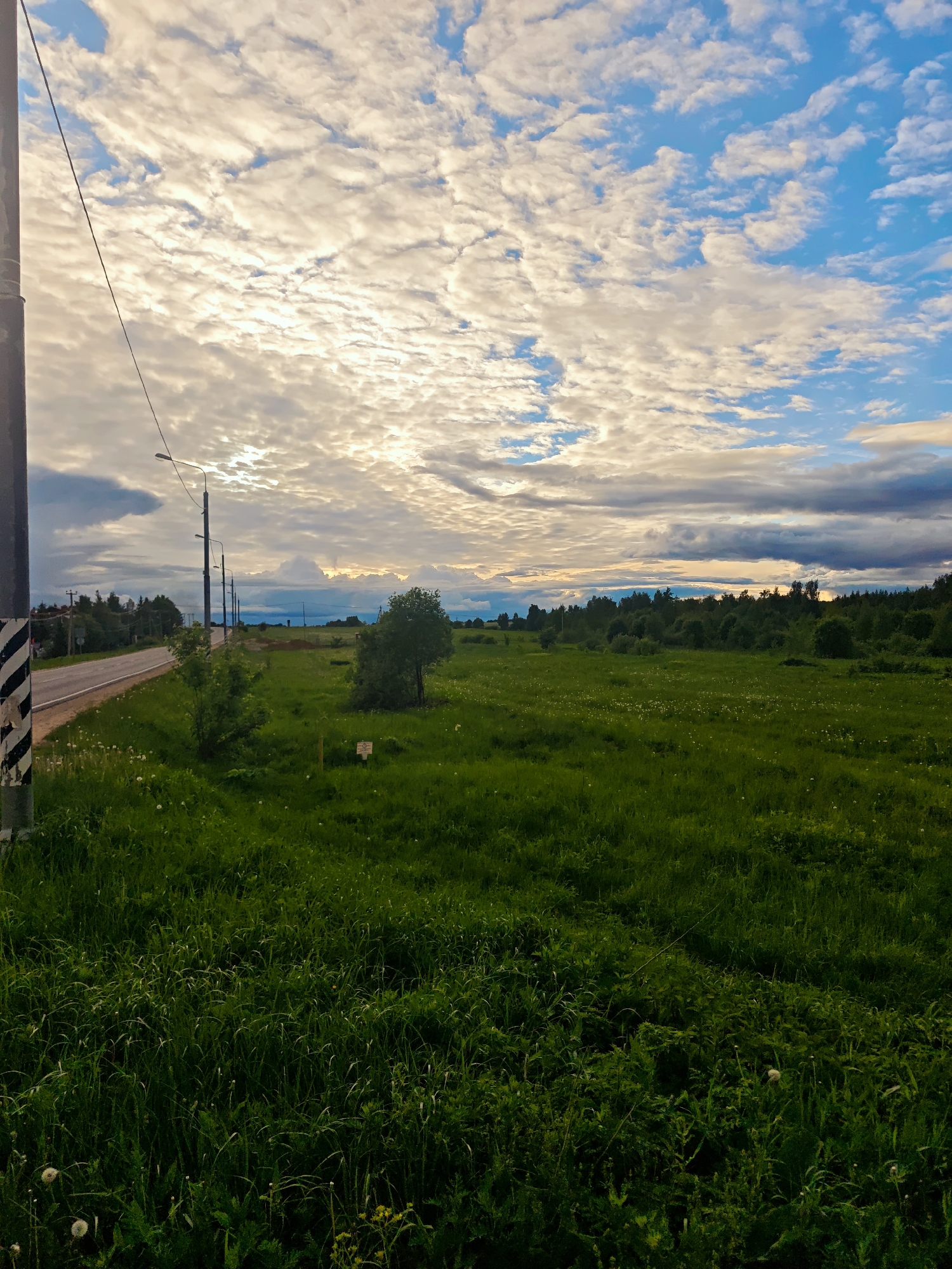 The image depicts a rural scene in Курово, Russia. A two-lane asphalt road runs along the left side of the frame, parallel to a field of green grass interspersed with wildflowers and small bushes. Power lines and utility poles line the road. In the distance, a line of trees marks the horizon under a sky filled with cumulus clouds, with a hint of sunset light visible on the horizon. The foreground features taller grass and vegetation. A sign is visible in the middle ground, likely marking property boundaries. There are no people visible in the image.