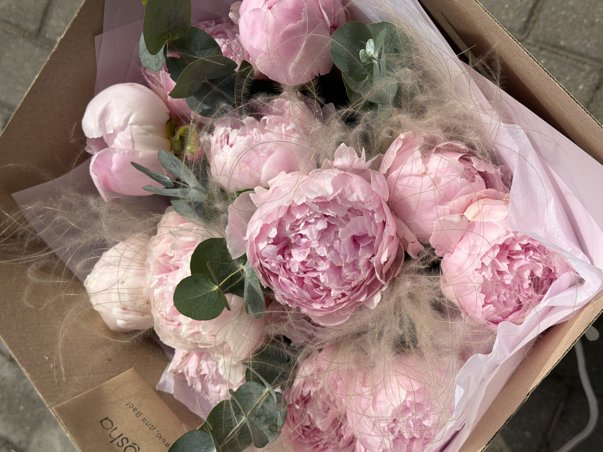 A vibrant bouquet of light pink peonies is presented in a brown cardboard box, suggesting a recent delivery or gift. The bouquet features numerous large, fluffy peonies in various stages of bloom, from tight buds to fully open flowers displaying their intricate, layered petals. Dark green, rounded eucalyptus leaves are interspersed throughout the arrangement, providing a contrasting foliage element. Delicate, wispy, light brown feathery decorative grass or dried elements are woven among the flowers, adding softness and texture.
The flowers are cradled within soft pink tissue paper inside the simple, sturdy cardboard box. A small, light brown card is visible in the bottom-left corner of the box. Text printed upside down on the card reads "gusha" and "Вкусно для вас!", which translates from Russian as "Delicious for you!" or "Tasty for you!".
The scene is brightly lit by natural light, indicating daytime. The subtle texture of paving stones or concrete is visible in the background, suggesting the bouquet is outdoors or being unboxed in an outdoor setting in Satino-Russkoe, Russia. The image captures a moment of appreciation for the fresh, beautiful floral arrangement. No people are visible.