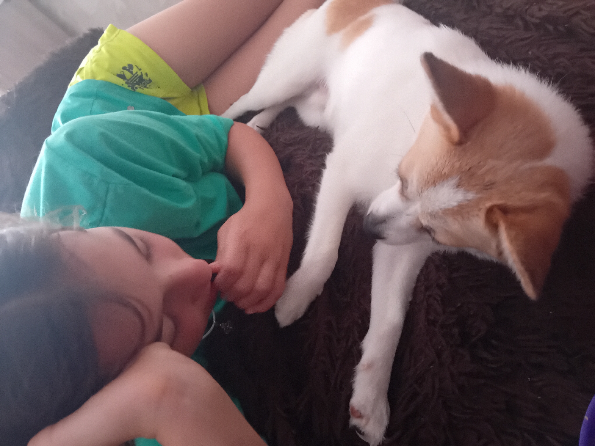 A close-up, low-angle shot shows a young person lying on a dark, furry surface, their head resting on their hand, with their eyes closed and their mouth near their fingers. They are wearing a green t-shirt and yellow shorts with a black pattern. A white dog with tan markings is lying on its back next to the person, facing them, with its head tilted. The dog appears to be resting its nose on the person's hand. The scene is lit by natural light, creating a soft glow. The image is a candid moment of connection between a child and their pet.