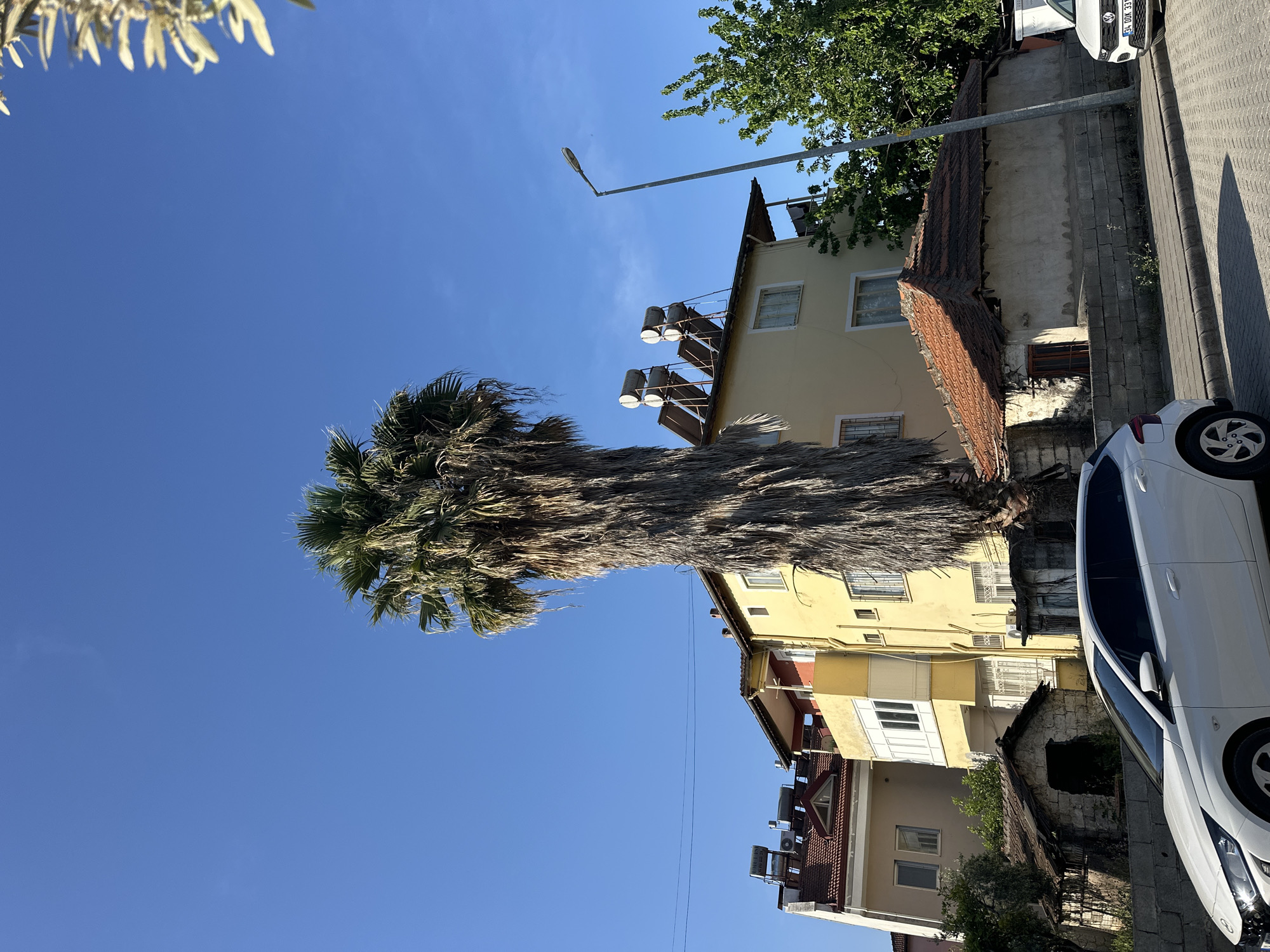 This vibrant image captures a sunny street scene in Fethiye, Turkey, under a clear blue sky. A tall, robust palm tree with a thick, textured trunk and green fronds stands prominently on the left side of the frame, reaching towards the top.
To the right of the palm tree, a cluster of buildings forms the background. A multi-story, light yellow building is most noticeable, featuring multiple windows with white frames and various balconies, some of which are enclosed. Its rooftop is equipped with several cylindrical solar water heaters, indicative of the region's abundant sunshine. Behind and to the right of this building, an older, stone-walled structure with a rustic red-tiled roof is partially visible, hinting at a blend of architectural styles. Another building with a reddish-tiled roof and white-framed windows is also present further down.
On the far right, a paved street runs alongside a concrete sidewalk. Two white cars are parked on the street. The license plate of the white car closer to the viewer clearly displays "34 ODK 331," signifying a Turkish registration from Istanbul. A streetlight pole extends into the sky from the right side of the image.
The scene is brightly lit by the sun, suggested by the deep blue sky and the sharp shadows cast by the buildings and vehicles, indicating it is daytime, likely mid-morning or afternoon. Additional green foliage from other trees is visible in the background, contributing to the Mediterranean setting. No people are visible in the tranquil scene.