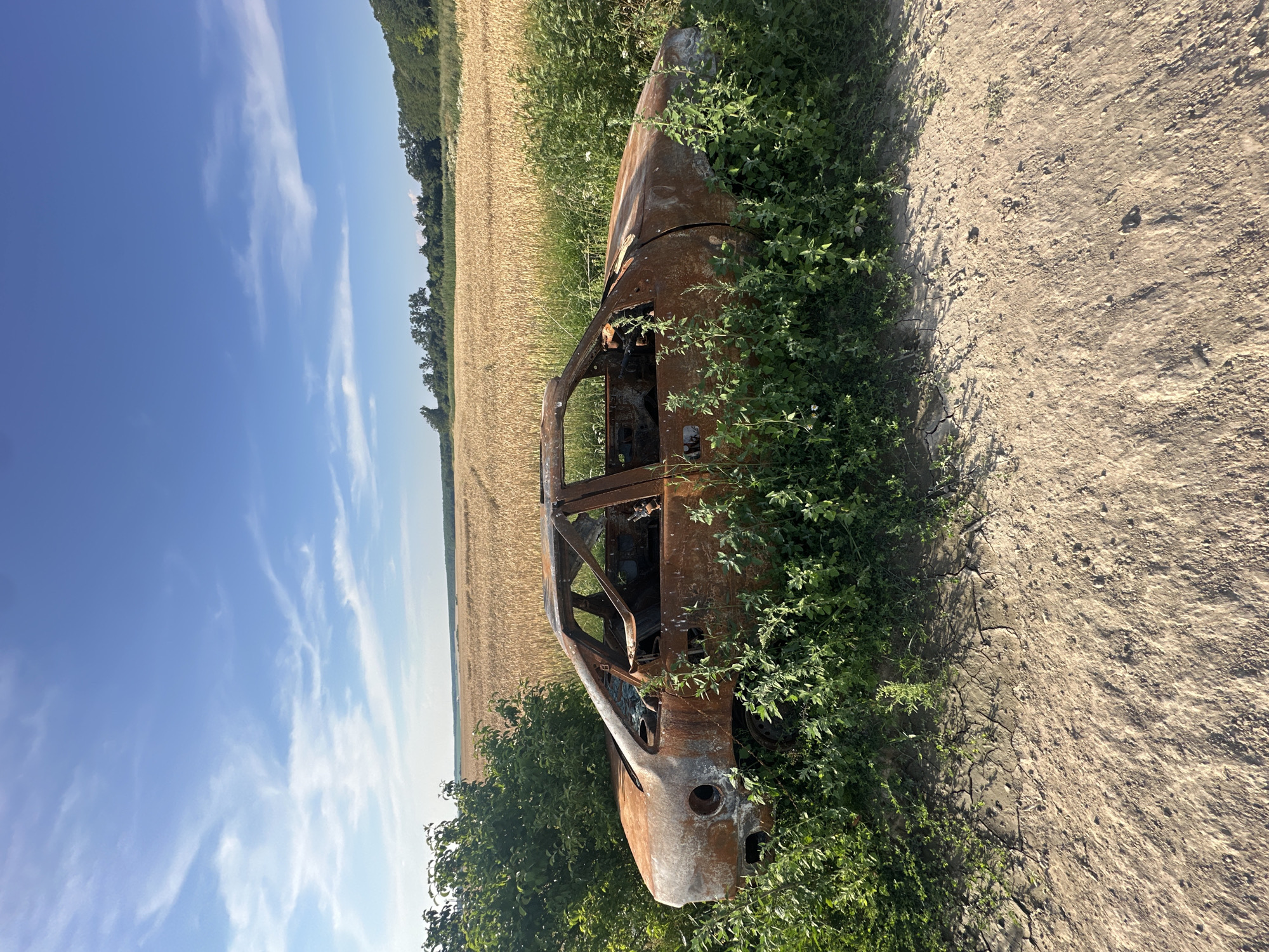 In Makiv, Ukraine, a severely rusted and burnt-out car chassis is situated in tall green grass, partially obscuring the vehicle. The car, with its windows and interior largely gone, faces left, its metallic body showing significant corrosion. Behind the car, a vast field of dry, golden wheat stretches towards a line of trees that marks the horizon. The sky above is a clear blue, dotted with wispy white clouds. The ground in the foreground is a dirt path, cracked and dry, adjacent to the overgrown vegetation.