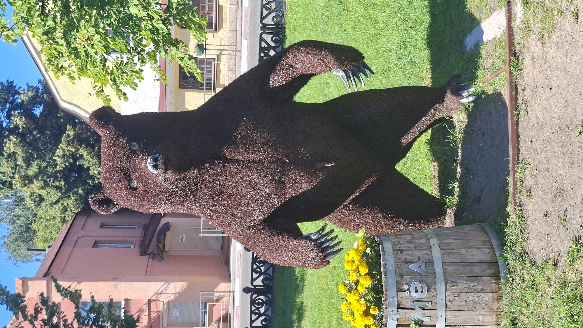 An outdoor, medium shot captures a life-sized, brown, shaggy bear sculpture standing upright on a grassy area, positioned slightly left of the frame's center. The bear is constructed from a dense covering of dark brown material, possibly bark chips or artificial grass, giving it a textured appearance. Its eyes are visible as blue, glassy spheres, and it has a dark nose. The bear's front paws are extended forward, displaying sharp, silver-colored claws. To the left of the bear is a weathered wooden barrel, serving as a planter filled with bright yellow flowers. The barrel has metal bands around it and features the Cyrillic letters "МЁД" (MED), meaning "honey," affixed to its front.
The background reveals a cityscape. Directly behind the bear is a low-lying building with a pink facade and white-trimmed windows. To the right of this building and further back, a second building with a yellow facade and dark-trimmed windows is visible. The sky is a clear, bright blue. Green trees are interspersed in the background, some with dense foliage and others with more sparse leaves. A black, ornate metal fence runs horizontally across the middle ground, separating the grassy area from a sidewalk and road beyond. The overall environment suggests a sunny day in a public outdoor space. The sculpture is a notable feature in the city of Pastavy, Belarus.