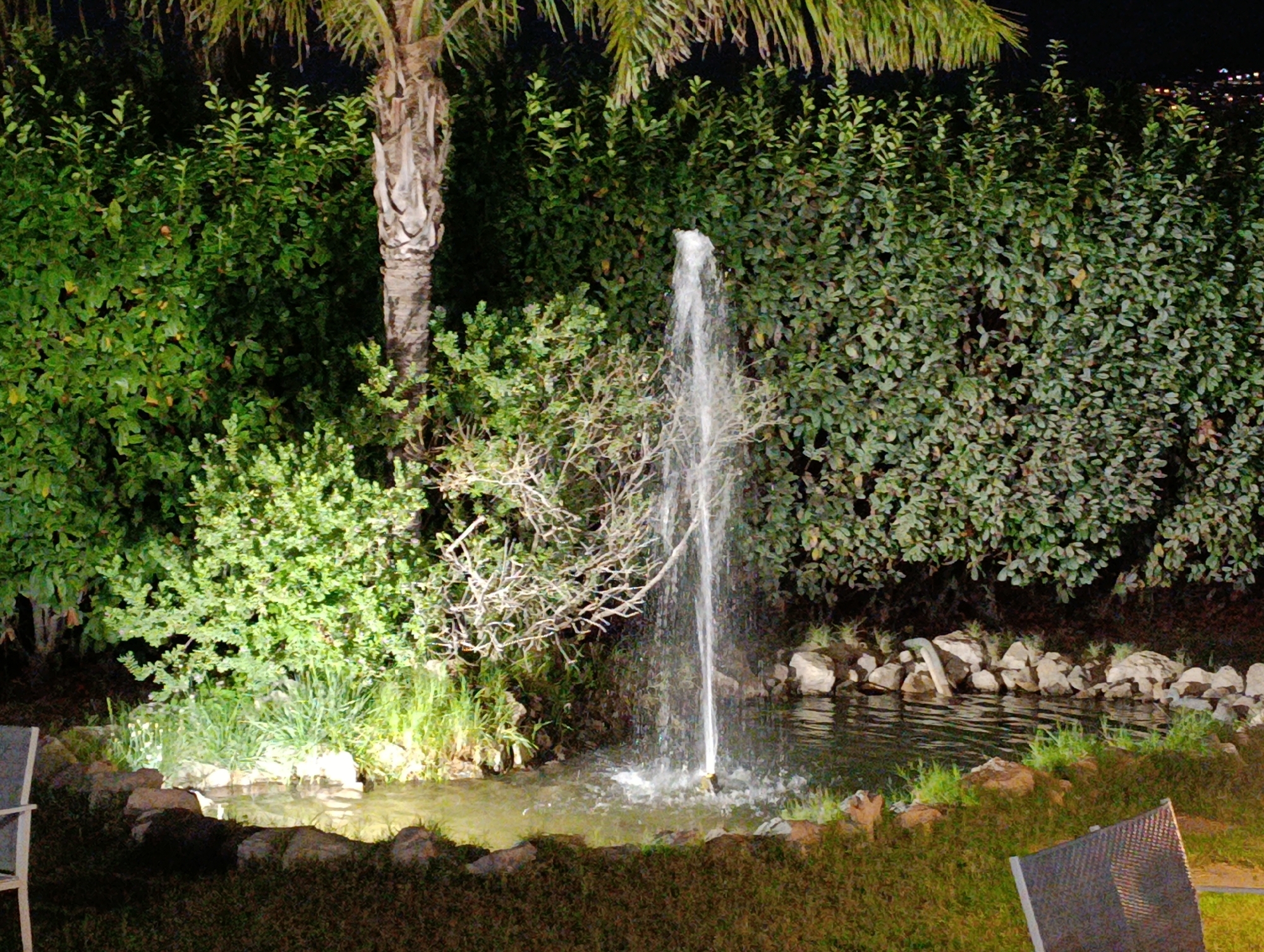 The image depicts an outdoor scene at night, featuring a garden area with a fountain and lush vegetation. A palm tree with a textured trunk is visible on the left, with its fronds extending over the top of the frame. A fountain sprays water upwards in the center of the image, with the water falling into a shallow pool. The pool is surrounded by rocks and dense green foliage. In the foreground, there is a patch of grass and a portion of a dark-colored chair, possibly a lounge chair. The background consists of more dense green bushes and trees, with some lights visible in the distance, suggesting a city or town. The lighting in the scene appears to be artificial, illuminating the garden and the fountain. Based on the context of Castellammare di Stabia, Italy, this scene likely represents a private garden or a public park area within the city.