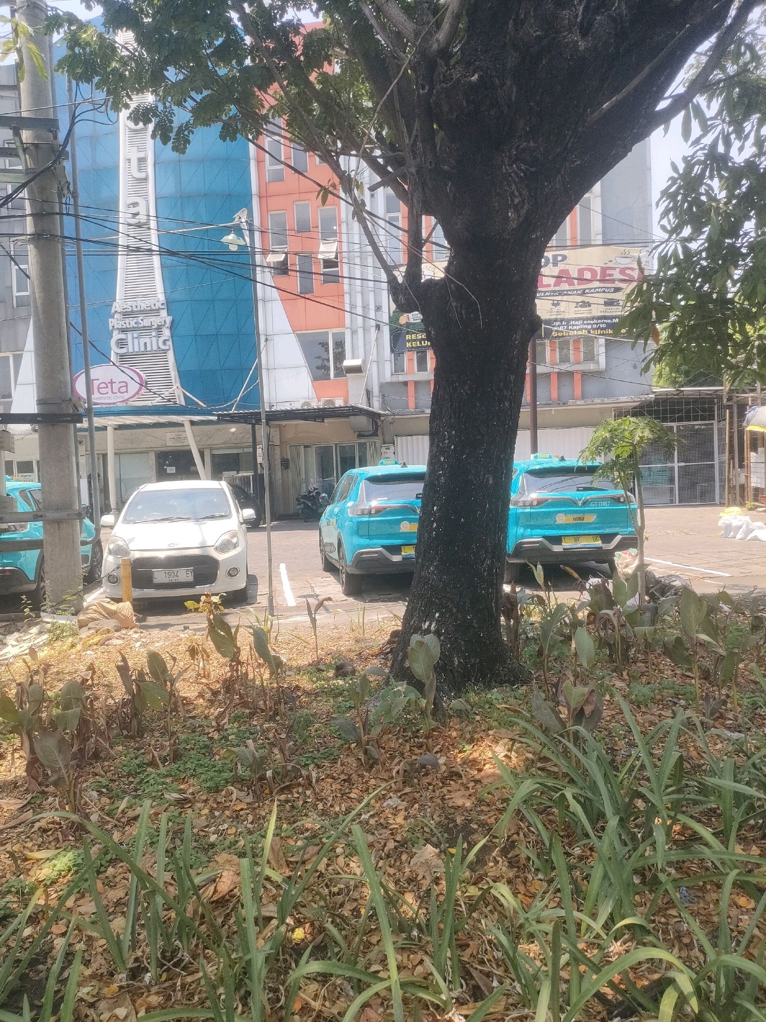 This is a street-level, full-frame, eye-level, medium shot of a parking lot in front of a modern building complex. The scene appears to be in Surabaya, Indonesia. In the foreground, there is a patch of dry leaves and some green plants. A large tree with dark, textured bark is positioned prominently in the center of the frame, partially obscuring the view of the buildings behind it. In the middle ground, there are several vehicles. A white sedan with license plate "L 1904 EY" is parked in the center. To its left and right are two identical teal-colored cars, likely taxis or ride-sharing vehicles, with visible license plates. The building in the background features a blue and orange facade with a prominent sign that reads "Teta Aesthetic Plastic Surgery Clinic". Another sign, partially visible, says "OP BLADES". Electrical wires and utility poles are present, suggesting an urban environment. The ground appears to be paved, with some areas covered in dirt and debris. The overall impression is a sunny day in a commercial area of the city.