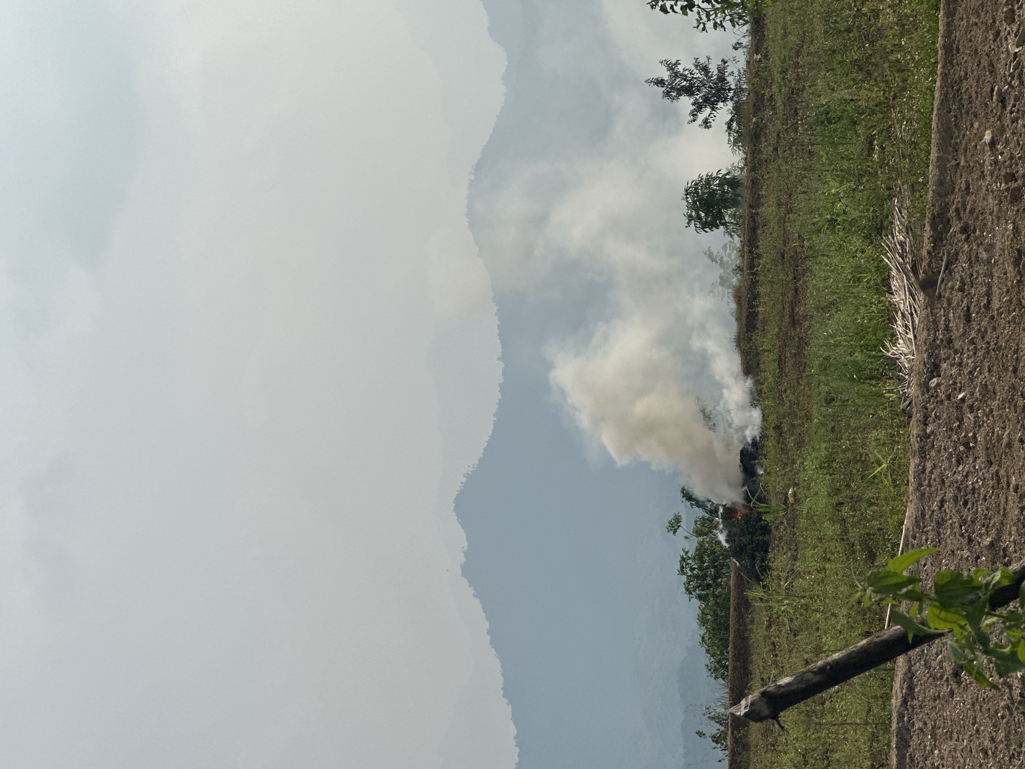 The image captures a rural landscape under an overcast sky, likely in Tân Trịnh Commune, Vietnam. In the foreground and mid-ground, a field stretches horizontally, characterized by patches of green vegetation and areas of tilled brown earth. A prominent plume of thick, white and grayish smoke rises from a fire situated in the mid-ground, slightly to the left of the center. An orange glow within the smoke suggests active burning, possibly of vegetation or agricultural waste. Scattered trees and bushes are visible around the burning area and across the field.
In the far background, multiple layers of mountains or large hills recede into a hazy, muted distance, blending with the cloudy sky above. The sky itself is a uniform light gray, indicating diffused sunlight. A distinct leafy branch appears in the lower right corner of the foreground, partially obscuring the view, while dried plant stalks lie on the tilled ground nearby. No people are visible. The scene depicts an agricultural activity involving controlled burning, occurring during daylight hours under hazy weather conditions.
