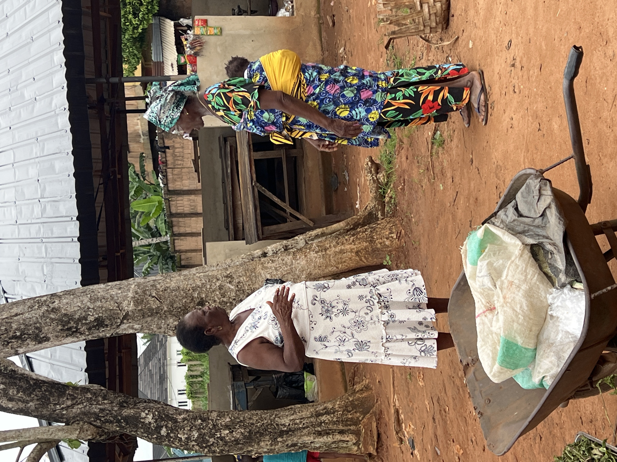 The image depicts two women engaged in conversation outdoors in Nkpor, Nigeria. The woman on the left is wearing a white dress with a floral print and gesturing with her right hand. The woman on the right is wearing a colorful patterned dress and a headscarf, and she has a baby wrapped in a yellow cloth on her back. They are standing on a reddish-brown dirt ground, with large trees and a corrugated metal roof structure in the background. A wheelbarrow filled with sacks and plastic bags is in the foreground. The overall environment appears to be a market or a busy outdoor area.