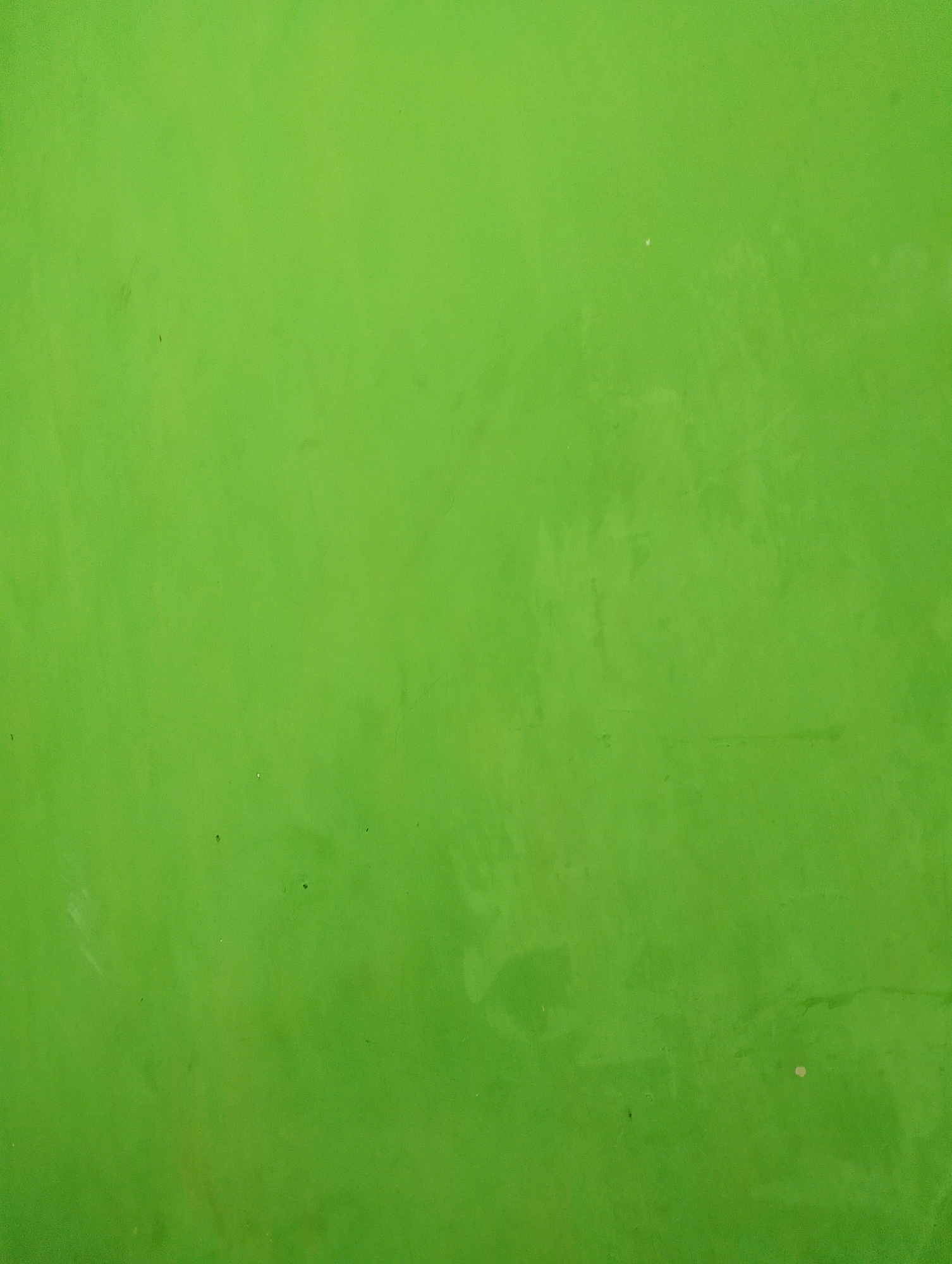 The image is a full-frame, high-angle shot of a plain, bright green wall. The surface appears to be slightly textured and there are a few faint smudges and small specks of dust or debris visible. The lighting is even, casting no discernible shadows, suggesting an overcast day or an indoor setting with diffuse lighting. There are no people, objects, or any discernible environmental features beyond the wall itself. It's impossible to determine the location in Rembang, Indonesia, from this image alone.