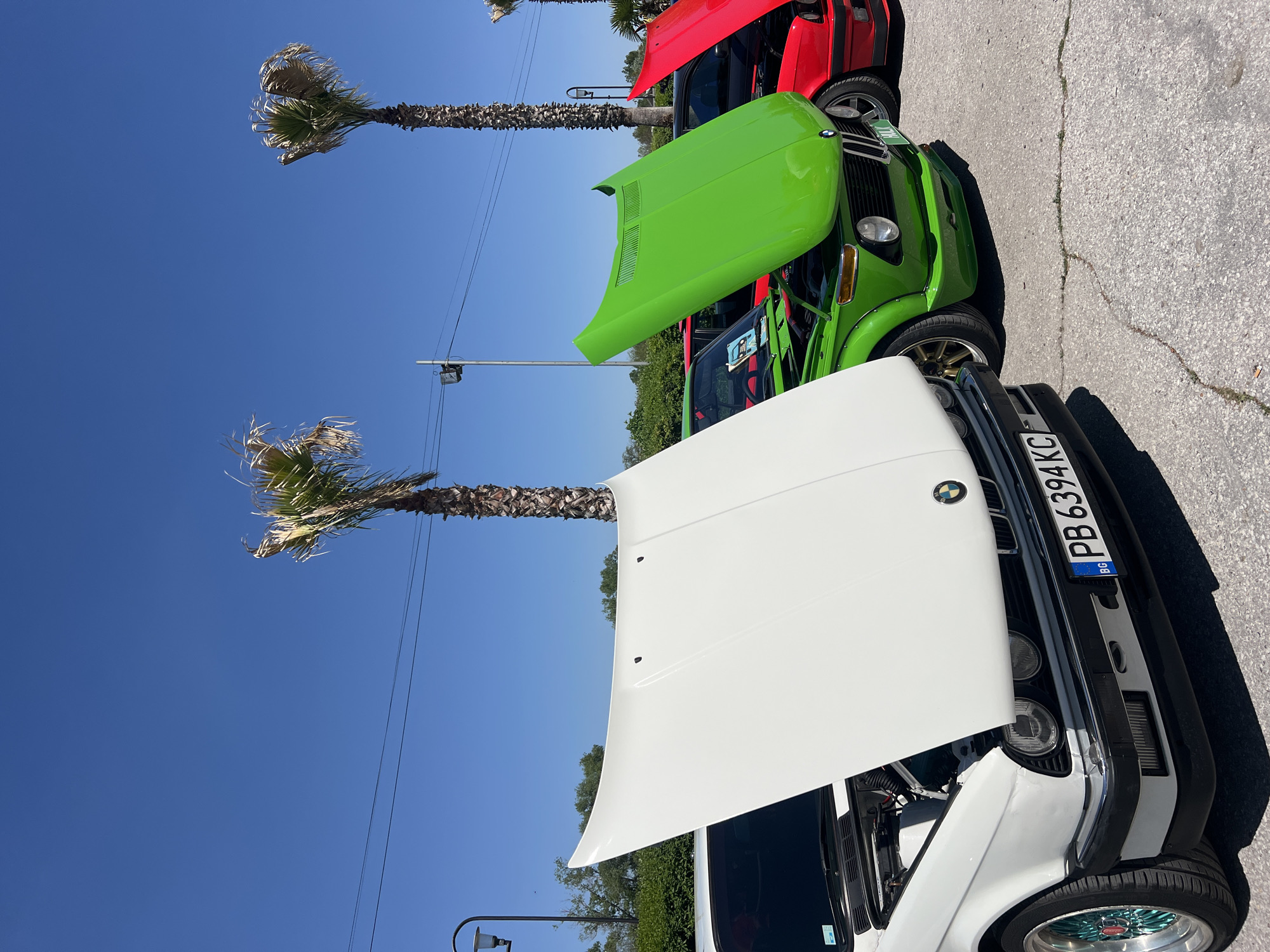 Three vintage BMW cars are parked in a row outdoors, with their hoods open, under a clear blue sky in Plovdiv, Bulgaria. A white BMW is in the foreground, followed by a lime green and a red BMW. Palm trees are visible in the background along with street lamps. The white car has a Bulgarian license plate that reads "PB 6394 KC". The ground is paved, showing cracks.