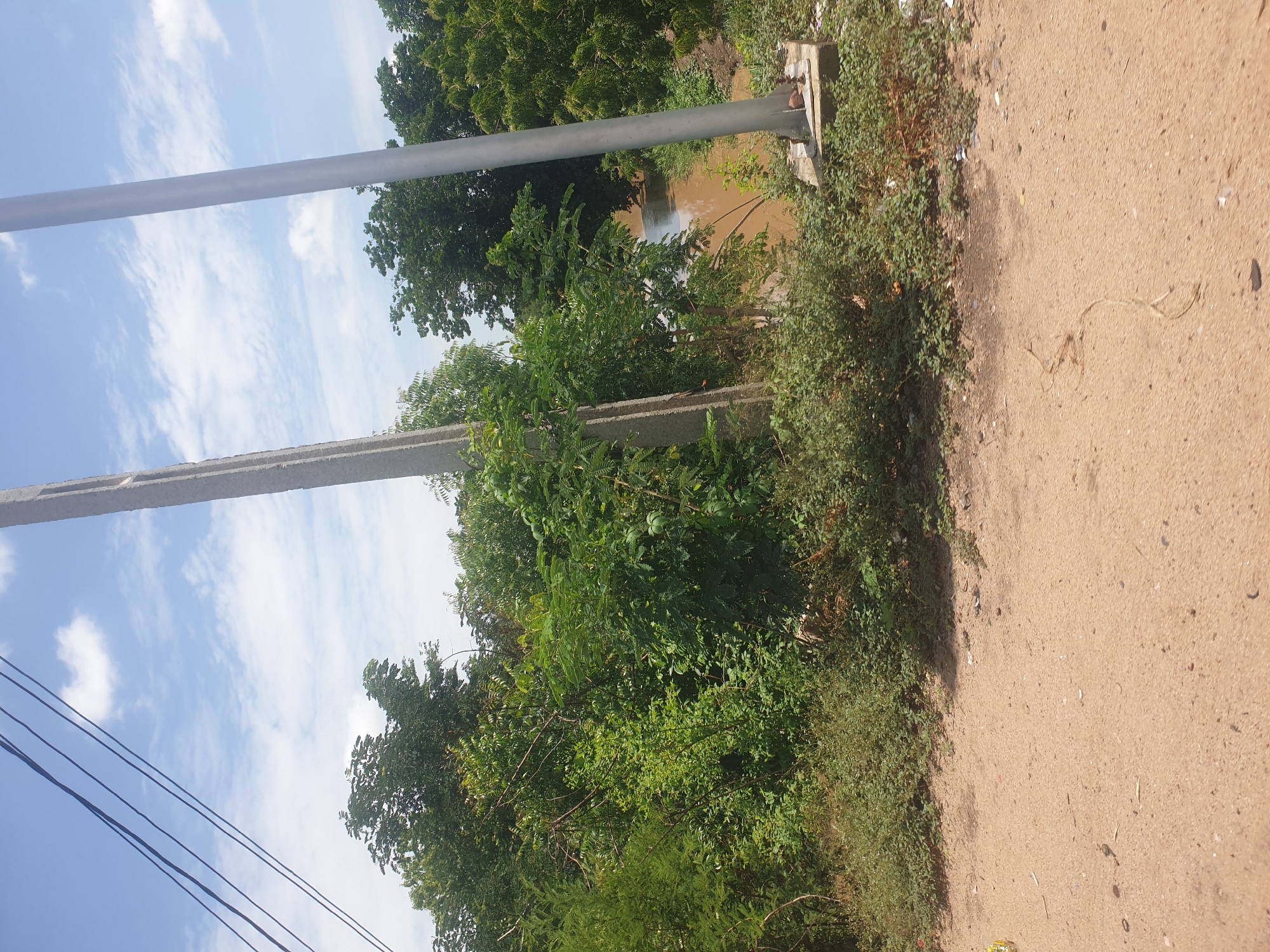 The image captures an outdoor scene in an unidentifiable city. A dirt road occupies the lower right of the frame, covered with sparse debris. The left side of the road is lined with dense green bushes and trees, partially obscuring a light-colored concrete pole. To the left of the pole, power lines stretch towards the sky, which is partly cloudy. Further in the background, more trees and a body of water are visible, possibly a river or pond. A metal pole runs parallel to the concrete one, suggesting the presence of infrastructure. The image shows a landscape where vegetation meets infrastructure, and it gives a sense of an area with some development adjacent to a natural environment.
