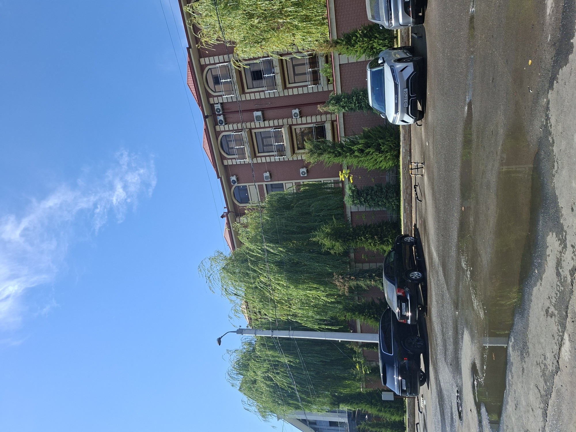 A low-angle, full outdoor shot captures a modern brick building with a red tiled roof under a clear blue sky with wispy clouds. In front of the building, a row of mature weeping willow trees with vibrant green foliage dominates the scene, interspersed with manicured evergreen trees. A brick wall separates the greenery from a paved area where several cars are parked. These include a black SUV and a black sedan on the left, and a silver electric SUV and a silver sedan on the right. The paved area shows signs of recent rain, with several large puddles reflecting the sky and surroundings. A street light stands to the left of the weeping willows, and air conditioning units are visible on the facade of the building. The overall impression is one of a well-maintained urban setting.