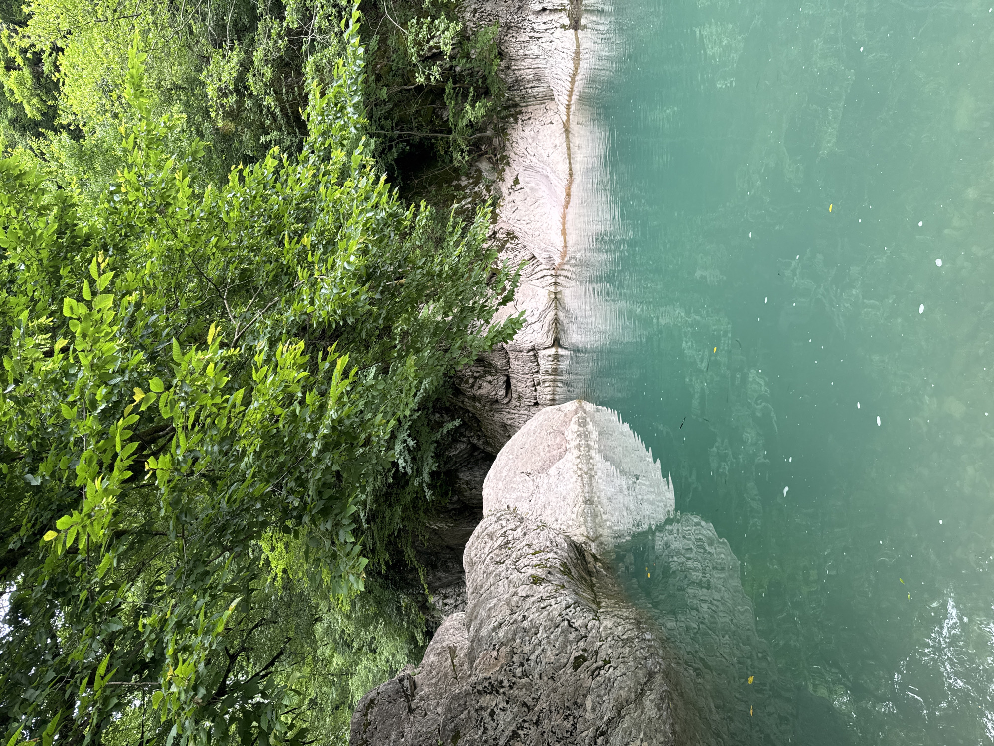 The image depicts a serene natural scene likely within the city of Khleborob, Russia, showcasing a clear, turquoise-colored body of water surrounded by lush greenery and imposing rock formations. The water's surface is calm, with subtle ripples reflecting the overhead foliage and the textured surfaces of the rocks. Large, weathered boulders, exhibiting variations in color from light gray to a pale pinkish hue, dominate the left side of the frame, their surfaces bearing the marks of time and erosion. Behind these rocks, the landscape transitions to steep, striated rock faces that recede into the background.
A dense canopy of vibrant green leaves from overhanging trees forms a natural ceiling over the scene, casting dappled shadows onto the water and rocks. The foliage appears healthy and abundant, suggesting a temperate climate and a thriving ecosystem. The overall impression is one of natural beauty and tranquility, with no human presence or man-made structures evident in the immediate vicinity, suggesting a secluded or wild natural environment. The water is shallow enough in some areas to reveal the contours of the submerged rocks beneath its surface.