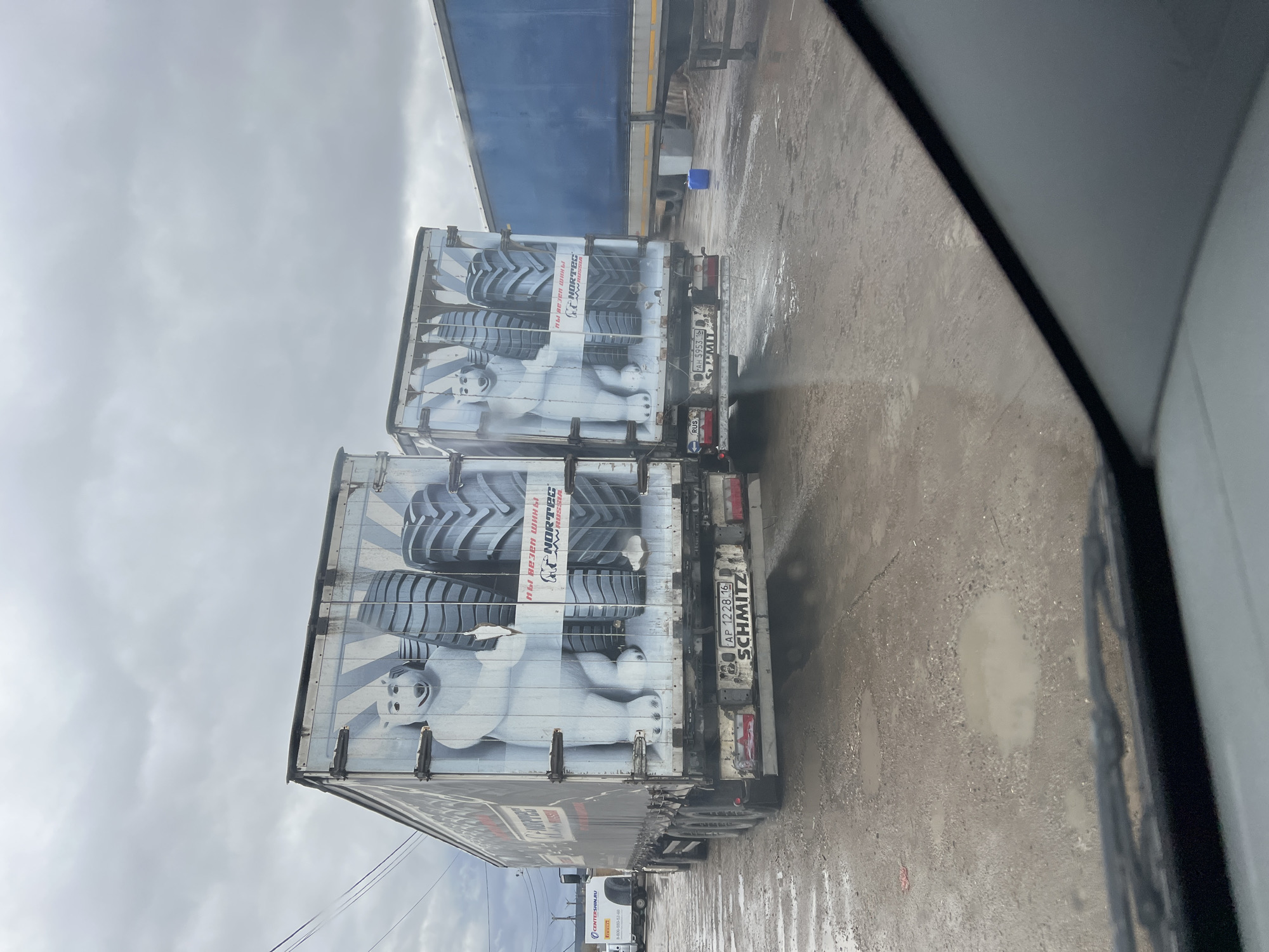 The image captures a view from inside a vehicle, looking out onto a wet, muddy industrial or loading area, likely in Naberezhnye Chelny, Russia. The sky is overcast, indicating daytime with diffused light.
Two large truck trailers are the primary subjects, parked side-by-side. Both trailers feature striking, identical artwork on their rear doors. The upper portion of the artwork depicts several large industrial tires, while the lower half showcases a white polar bear lying down. Visible text on the artwork includes "NORTEC" and "WRUSSIA," along with Russian phrases such as "мы везем шины" (meaning "we transport tires") and partially visible "ШИНЫ ДЛЯ ВАС" (meaning "tires for you").
The ground around the trucks is covered in puddles and mud, and what appears to be water spray or mist is visible around the rear of the trailers, suggesting either heavy rain or that the trailers are being washed.
Notable details on the trailers include the brand name "SCHMITZ" printed prominently on their rear. License plates are visible: "AP 1228 16" on the upper trailer and "AH 5953 16" on the lower, with "RUS" also present, confirming the Russian origin (region code '16' corresponds to Tatarstan). In the background, part of another blue truck or trailer is visible, as well as a white truck with "CENTERSHIN.RU" and "8-800-550-52-60" and the "PIRELLI" logo.