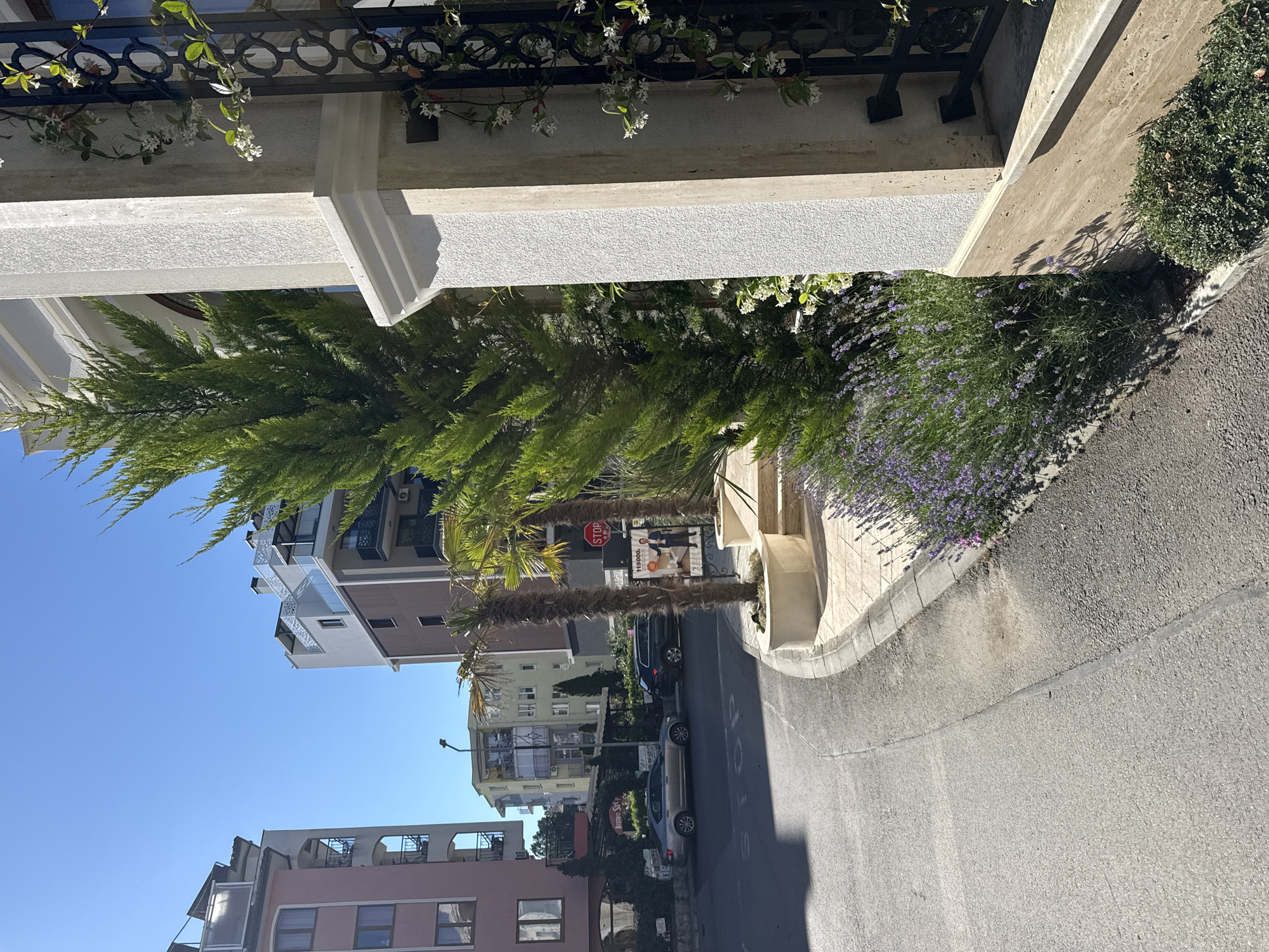 The image depicts a street scene in Nesebar, Bulgaria, on a clear day. The foreground features a paved road that curves to the left, bordered by a sidewalk with a planter box containing lavender plants and a small, well-maintained bush. Adjacent to the sidewalk is a light-colored building with a textured facade, a decorative black metal grate, and flowering vines.
Further down the street, several multi-story buildings are visible, including a pink building on the left and a white and brown building with modern balconies on the right. Two palm trees stand near the sidewalk in front of the white and brown building. A silver sedan and a dark SUV are parked on the street. A "STOP" sign is visible near the parked cars. In the background, more buildings and a street lamp can be seen under a bright blue sky. The scene suggests a sunny, urban environment in a coastal town.