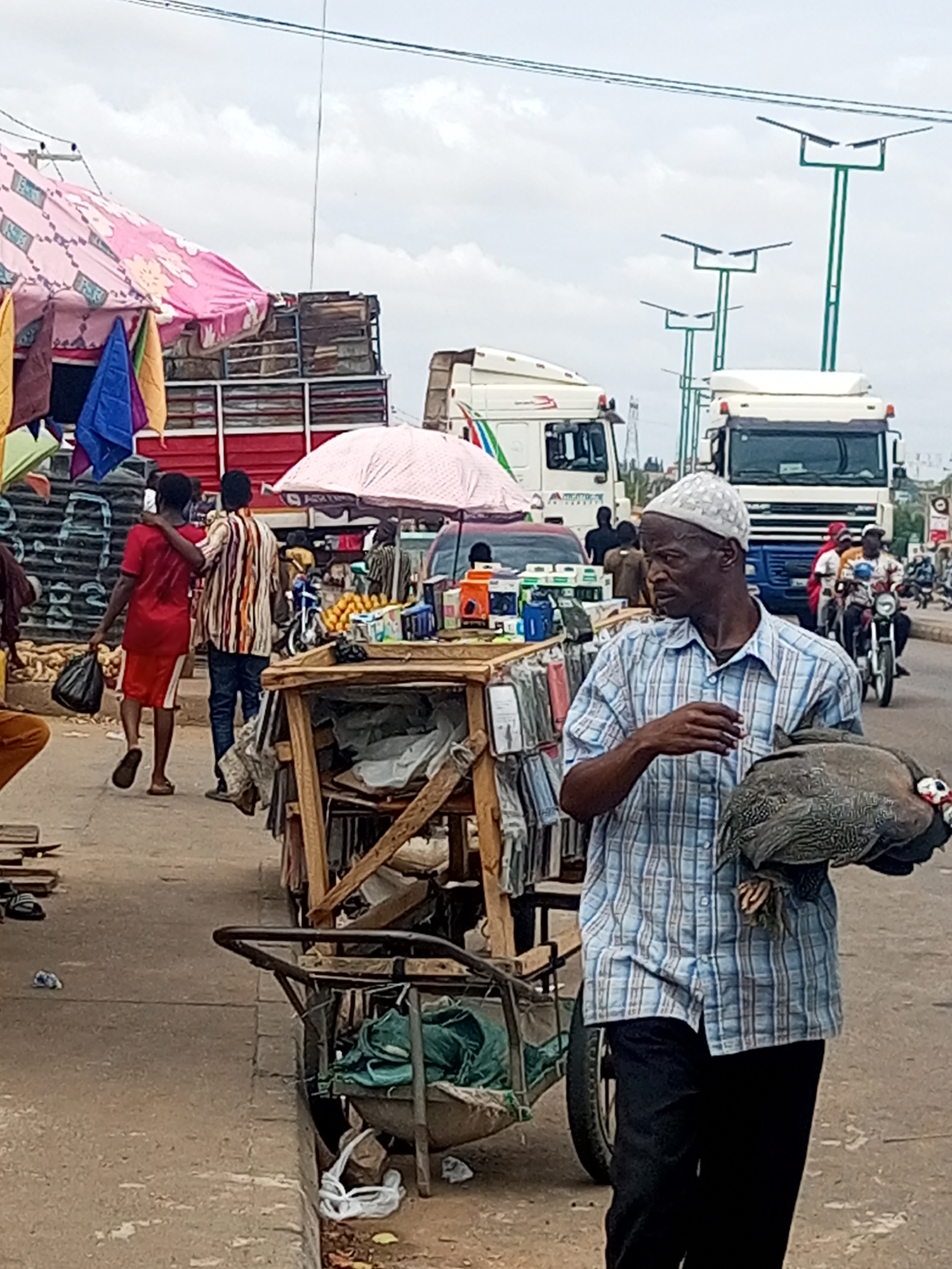 In the city of Unknown, Unknown, a bustling outdoor street scene unfolds under an overcast sky. In the foreground, a dark-skinned man walks towards the viewer's right, wearing a light blue and white plaid shirt, black trousers, and a white crocheted skullcap. He holds a speckled grey guinea fowl with white spots and a red and white head/neck in both hands against his torso. To his left, a makeshift wooden market stall displays various packaged items and goods, including potential electronics accessories or small household products. Adjacent to the stall, a small metal cart or wheelbarrow contains green fabric, and the concrete ground shows wear and scattered litter.
In the midground, two men walk away from the viewer: one in a red t-shirt and red shorts carries a black bag, while the other, wearing a vertical striped shirt (brown, orange, white) and dark pants, has his arm around the first man's shoulder. Behind them, a red flatbed truck, laden with cargo (possibly crates or bales) covered by a pink patterned tarp, is visible. A pink umbrella shades a display of fruits, likely oranges, next to another stall. Several motorcycles with riders and parts of other vehicles are present on the paved road. The background features two large white semi-trucks, parked or moving, and multiple tall green streetlights equipped with solar panels extend into the distance. Overhead, utility lines traverse the light grey sky.