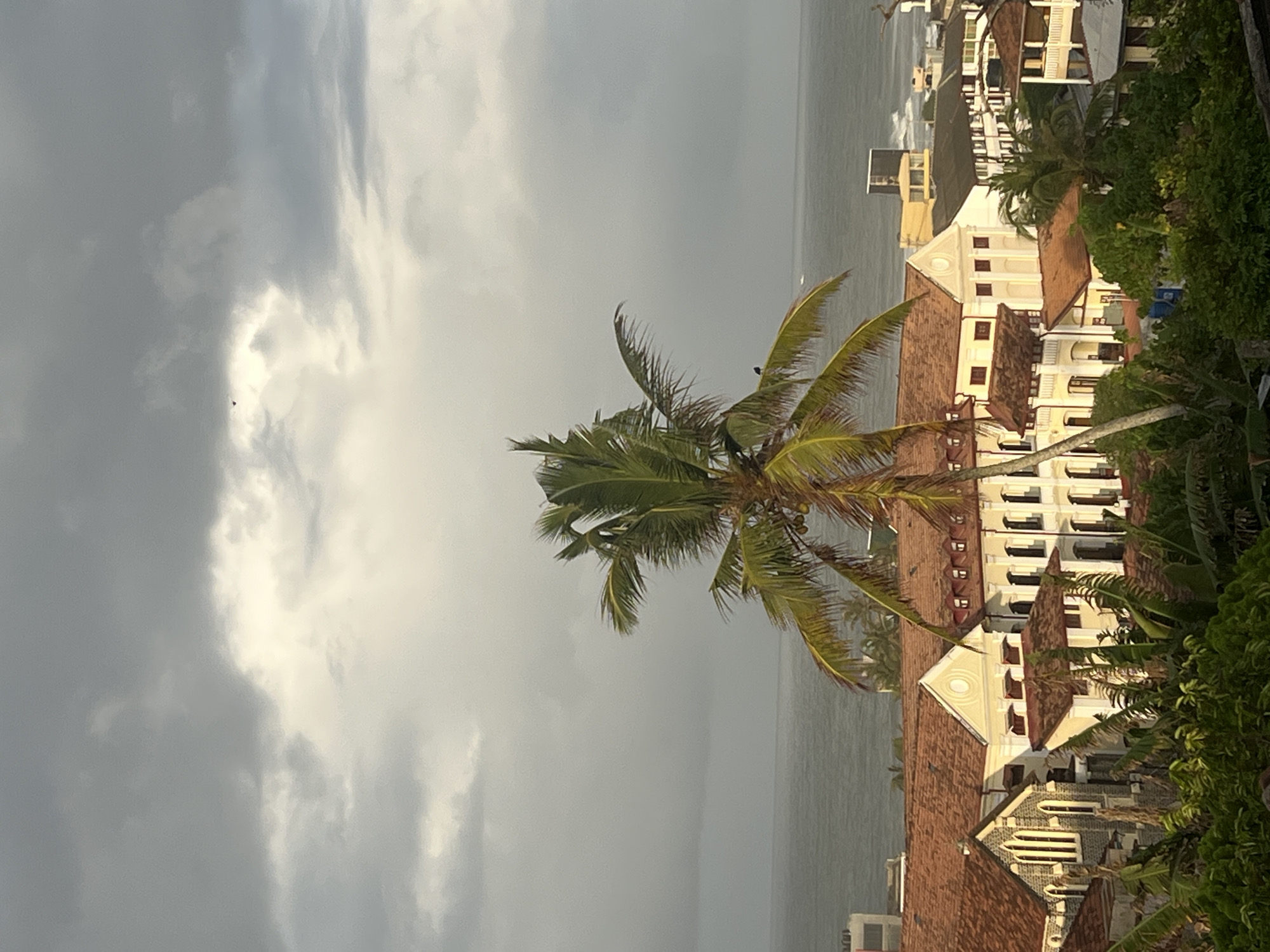 This is a medium-shot, vertical photograph of the Galle Fort, Sri Lanka, taken from an elevated viewpoint, likely a balcony or rooftop, overlooking a coastal cityscape. The sky is overcast with dramatic, dark grey clouds that are beginning to break, allowing patches of bright, yellowish sunlight to illuminate parts of the scene. A solitary palm tree with bright green fronds dominates the center of the frame, its leaves appearing windswept. A small dark bird is perched on one of the palm fronds.
Below the palm tree, the terracotta-tiled roofs of several buildings are visible. The architecture appears colonial, with a mix of styles including a building with arched windows reminiscent of a church or chapel on the left, and larger, cream-colored buildings with multiple windows and balconies on the right. Some of these buildings have dark-colored window shutters. In the background, the ocean stretches out to the horizon, its surface a muted grey-blue, with subtle whitecaps indicating waves. Further in the distance, more buildings and structures are visible along the coastline, including a taller, modern-looking building with a dark facade. Lush green foliage, likely tropical trees and plants, fills the bottom foreground, obscuring the lower parts of the buildings and adding depth to the scene. The overall atmosphere is moody and slightly dramatic due to the interplay of light and shadow from the overcast sky.