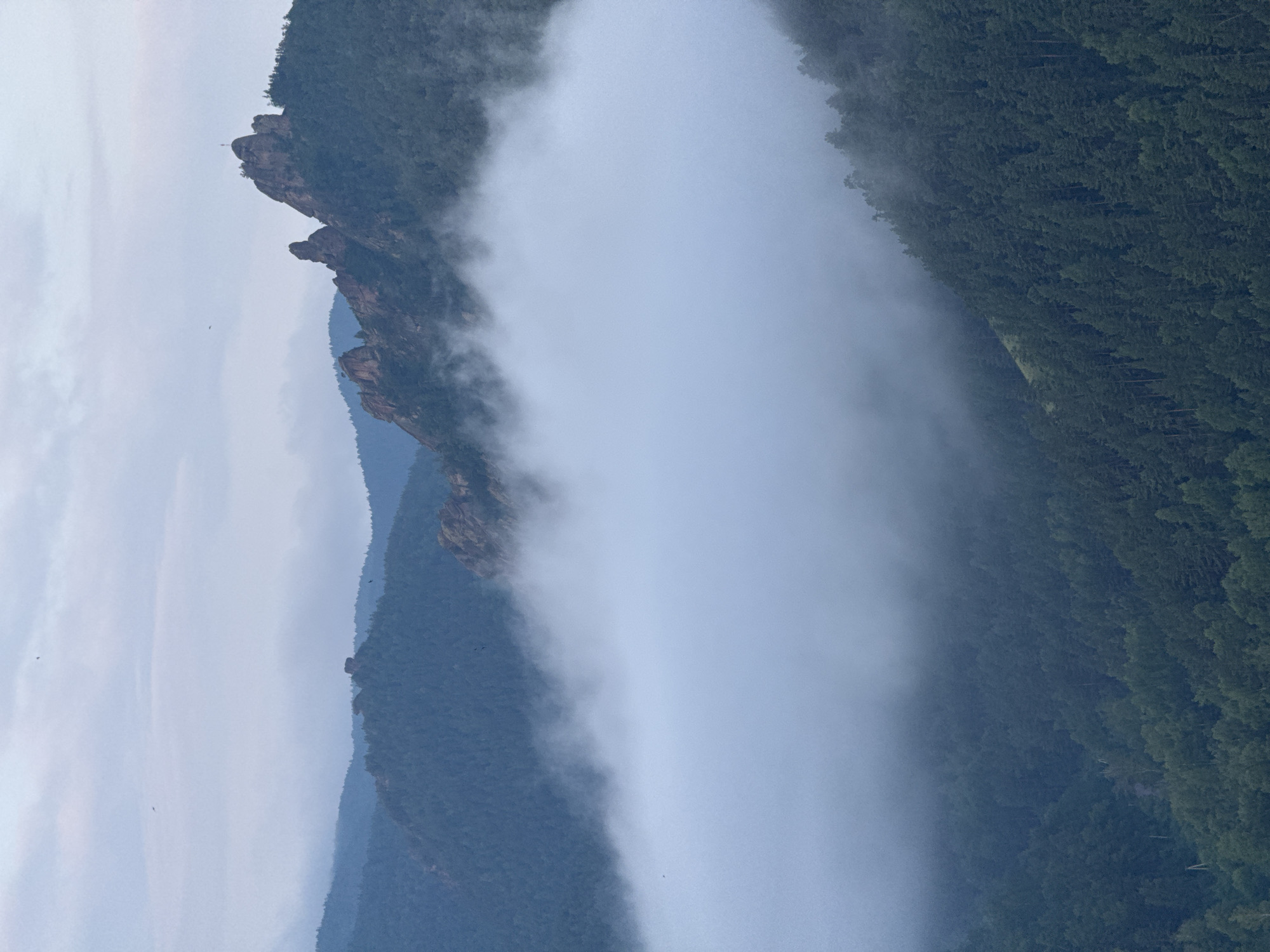 The image depicts a misty mountain landscape, likely the Stolby Nature Reserve near Krasnoyarsk, Russia. In the foreground, a dense forest of dark green coniferous trees covers the steep slopes of a valley. A thick blanket of white fog obscures the lower parts of the mountains and the valley floor, creating a dramatic contrast with the dark trees. Above the fog, the upper portions of rugged, rocky mountain peaks emerge, some covered with sparse vegetation. The sky is overcast with pale clouds, and a few birds are visible in the distance. The overall mood is serene and somewhat mysterious, characteristic of a mountain environment enveloped in mist.
