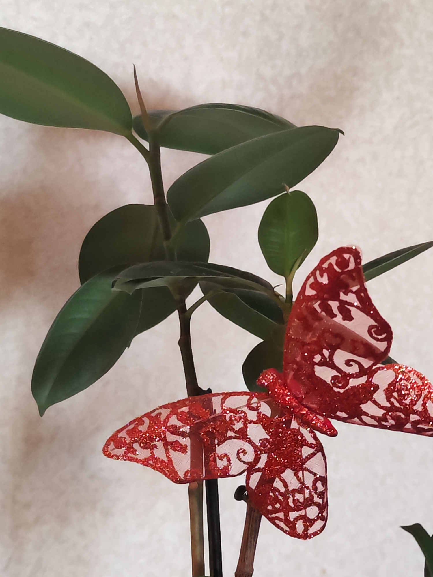 The image depicts a close-up of a houseplant with broad, dark green leaves and a decorative red, glittery butterfly ornament attached to one of the stems. The background is a neutral, off-white wall. The location is unknown.