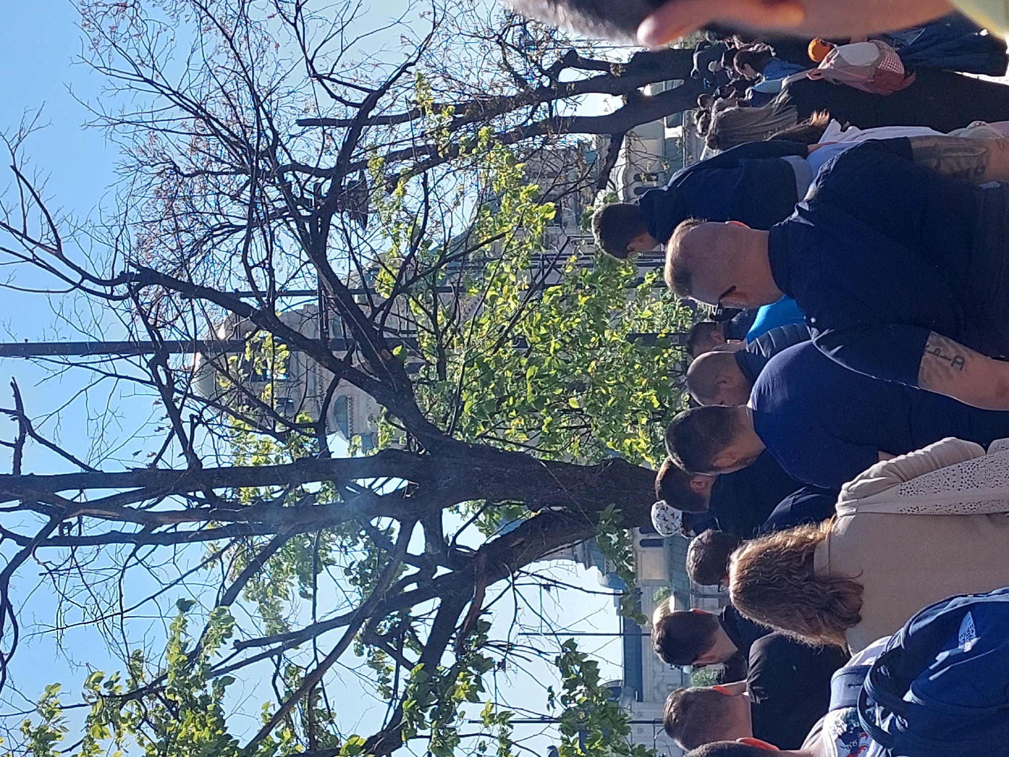 The photograph shows a group of people with their heads bowed, possibly in prayer or contemplation. The scene appears to be outdoors, with a large tree with both bare and leafed branches framing a building with a dome in the background. The location is likely in a city given the architectural style of the building and the presence of a crowd, but specific geographical details are not discernible. The sky is clear and blue.
