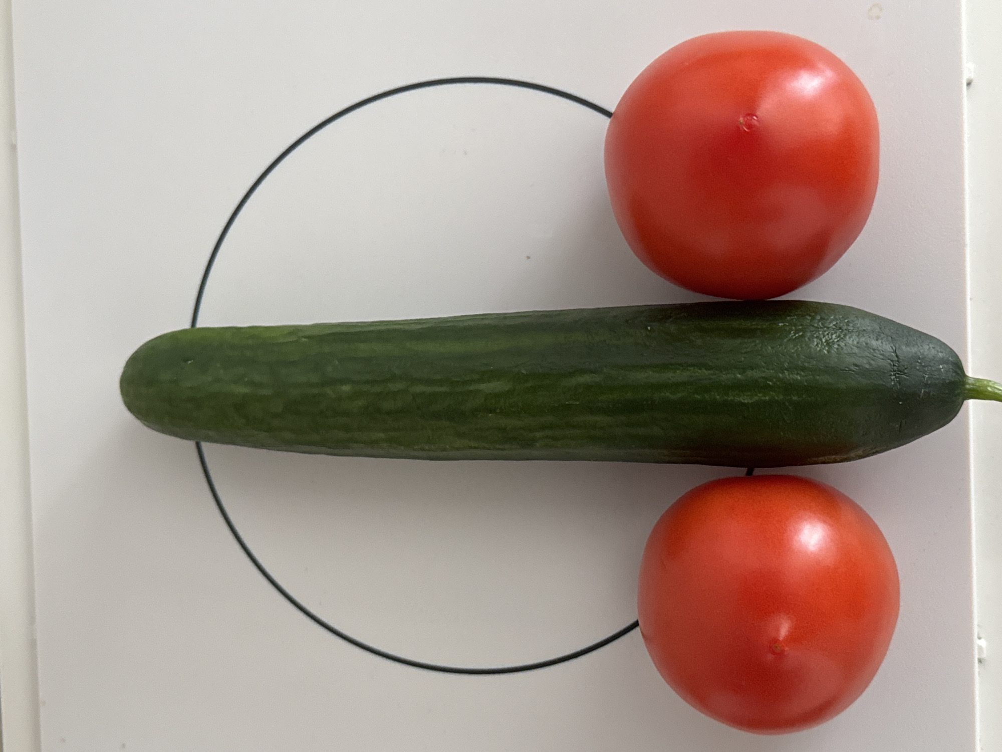 On a white surface with a faint black circular outline, a green cucumber lies horizontally between two red tomatoes. The tomatoes are positioned above and below the cucumber. The location, Perm, Russia, is not evident from the image.