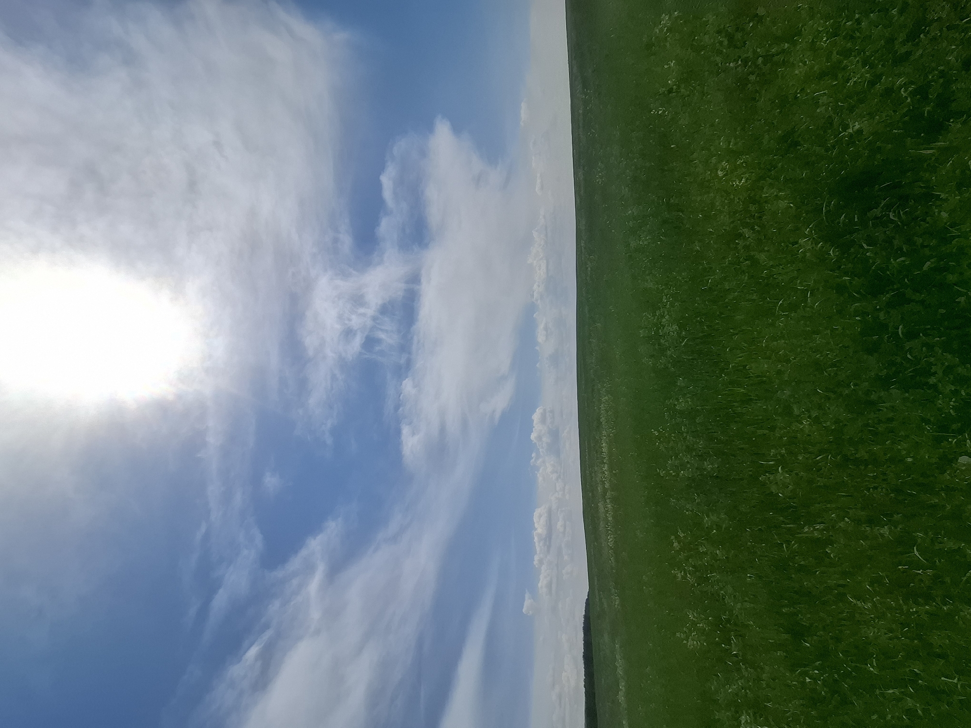 A wide-angle, eye-level shot captures a bright, sunny day over a lush green field and a vast blue sky. The sun, high and slightly off-center to the left, emits a strong glare, partially obscured by wispy, white cirrus clouds that stretch across the sky in feathery patterns. The field is a uniform, vibrant green, with hints of lighter green vegetation and possibly wildflowers scattered throughout, suggesting a natural or agricultural landscape. In the distance, a dark, narrow band of trees marks the horizon line, separating the field from the sky. The overall impression is one of natural beauty and open space, typical of rural or undeveloped areas. The location is identified as the city of Bayanday, Russia.